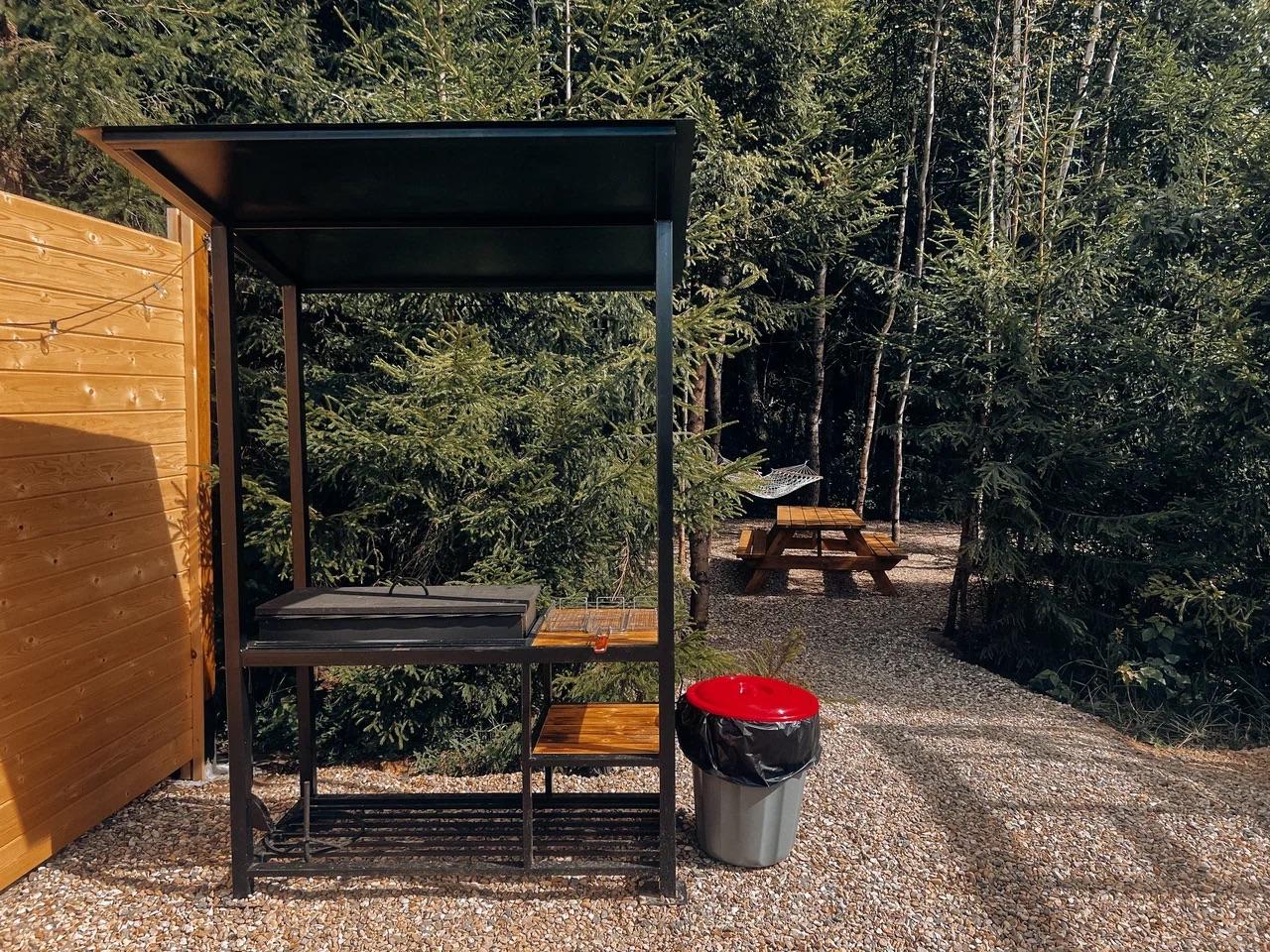 Фото Таймлесс