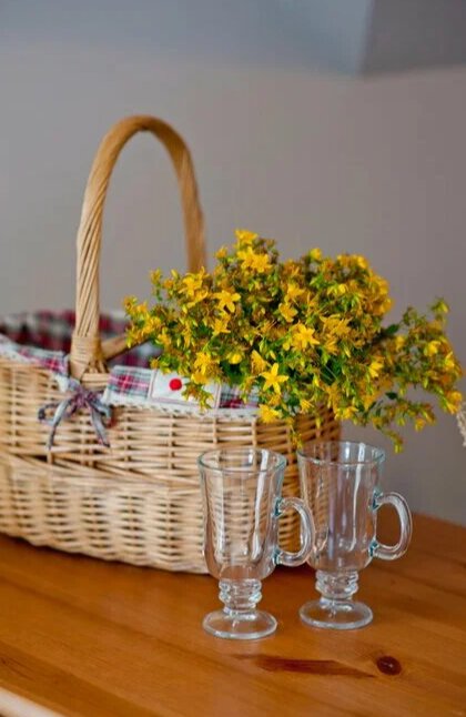 Фото Villa Plantage