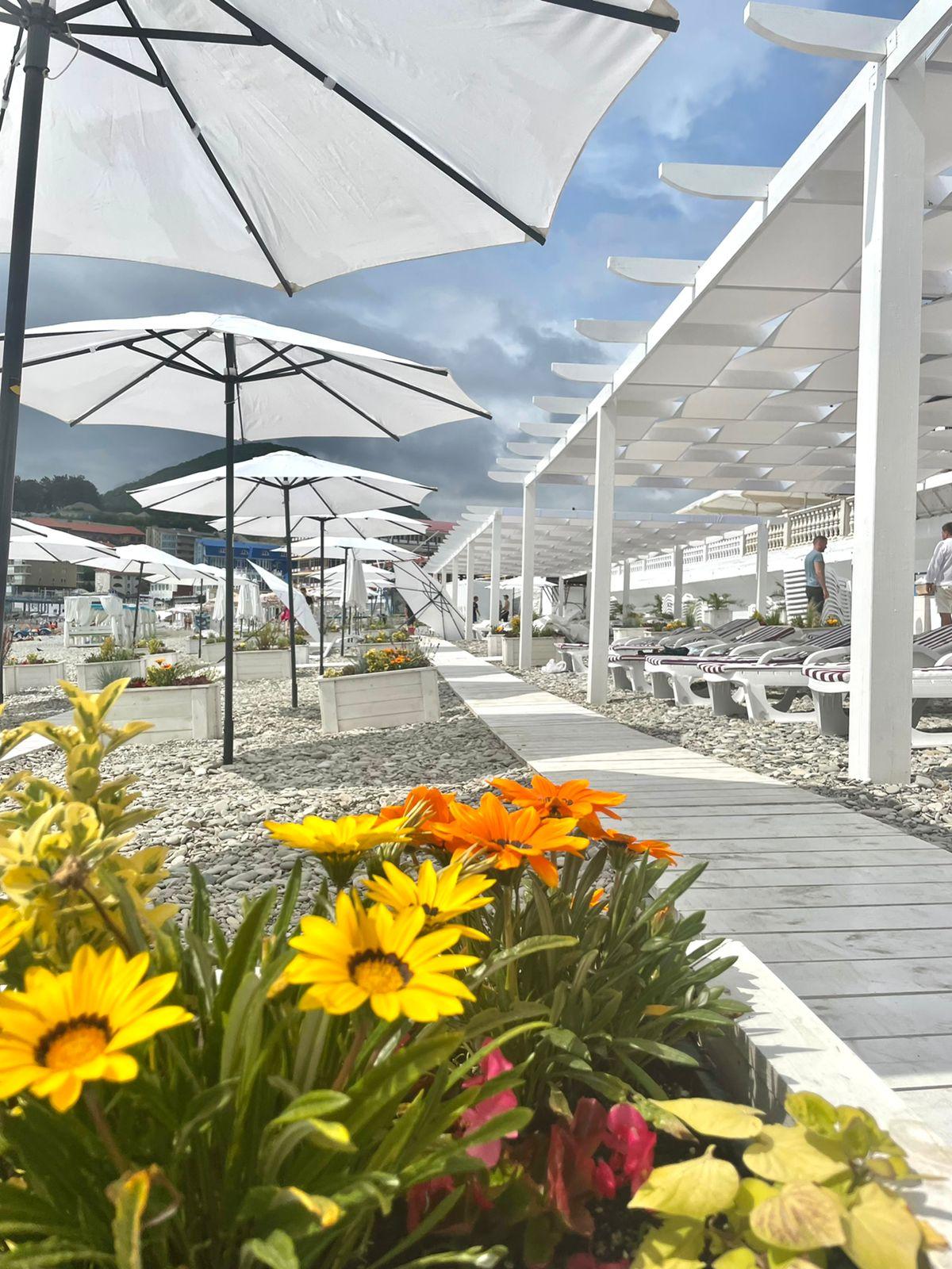 Фото Ола Резорт