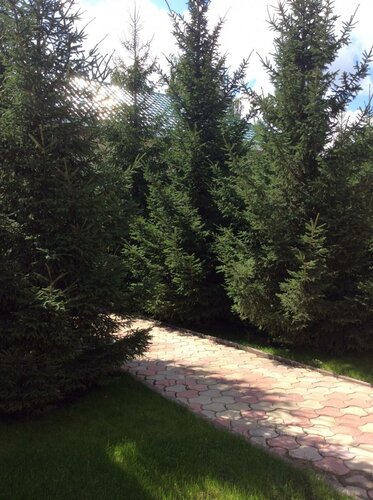 Дом отдыха Экопарк Раздолье в Омске