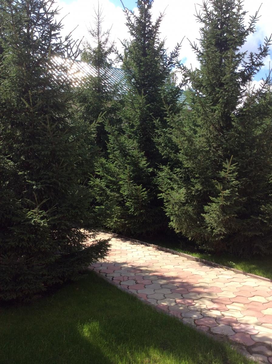 Фото Экопарк Раздолье