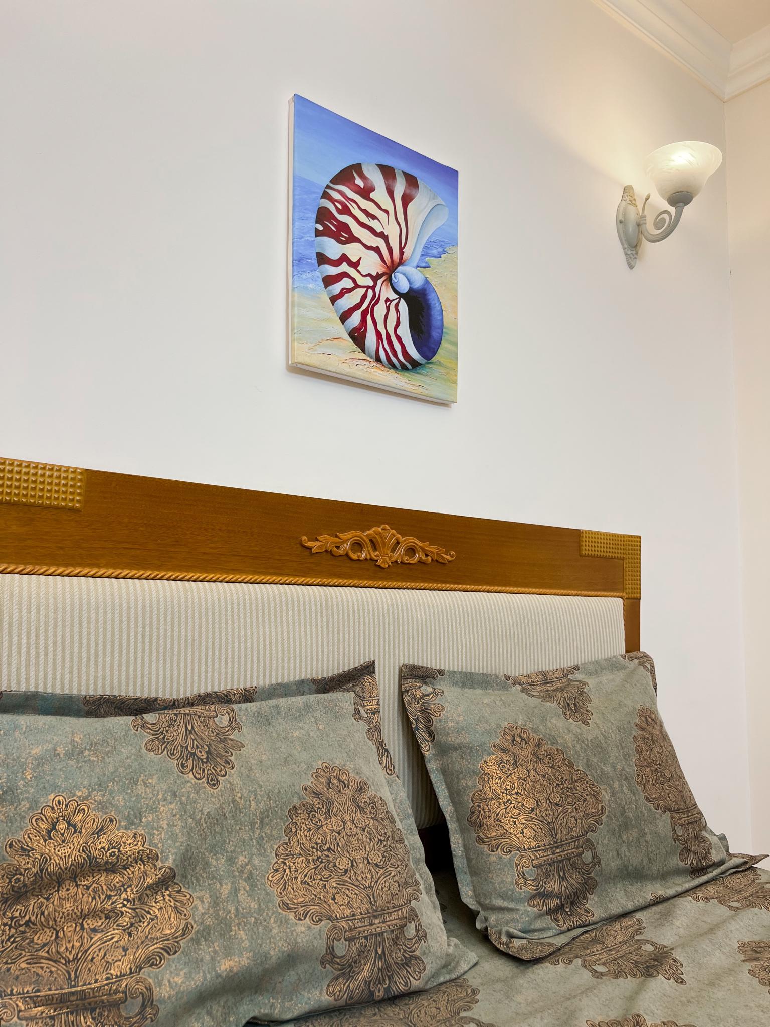 Фото Наутилус