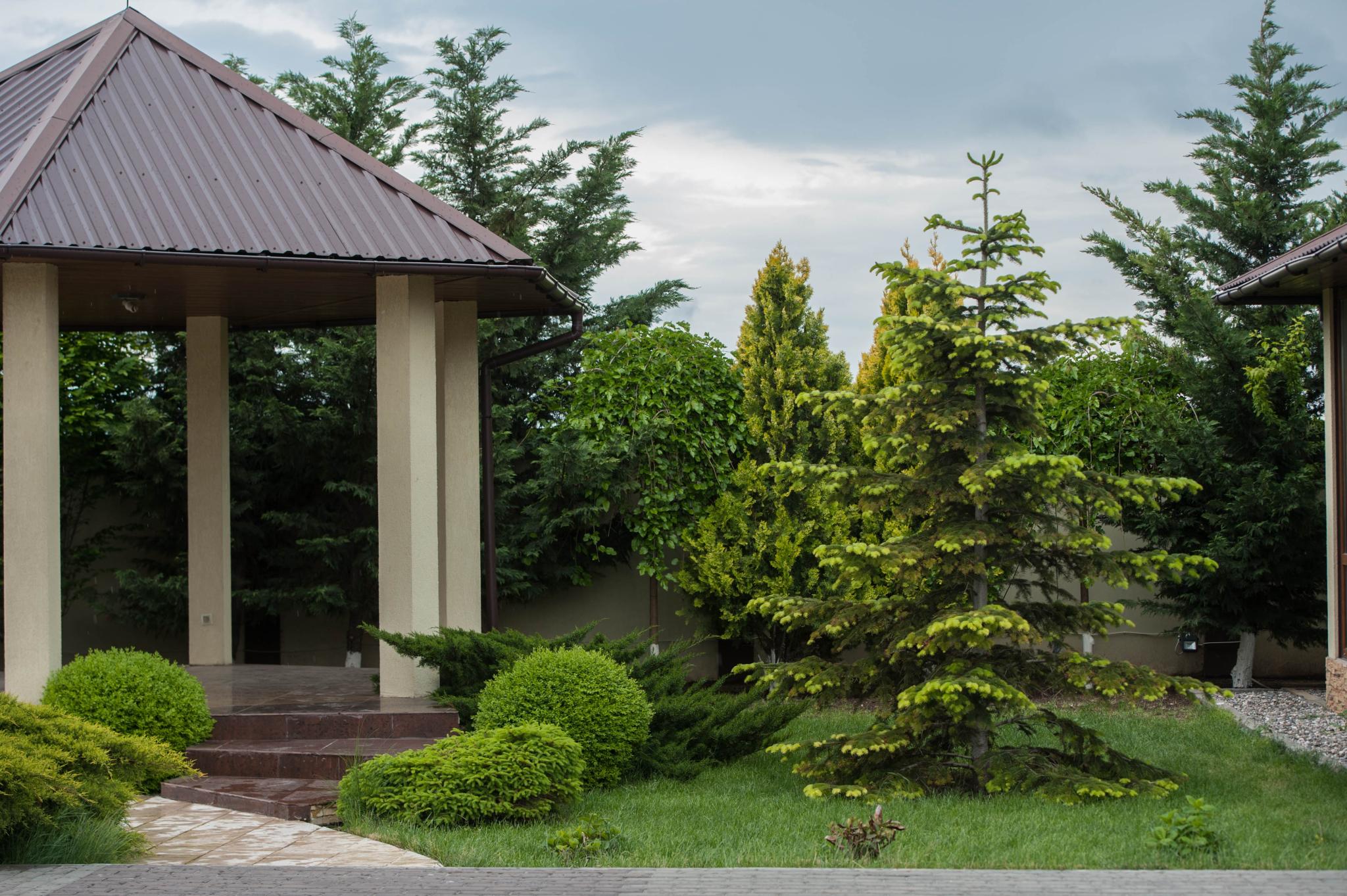 Фото Калифорния