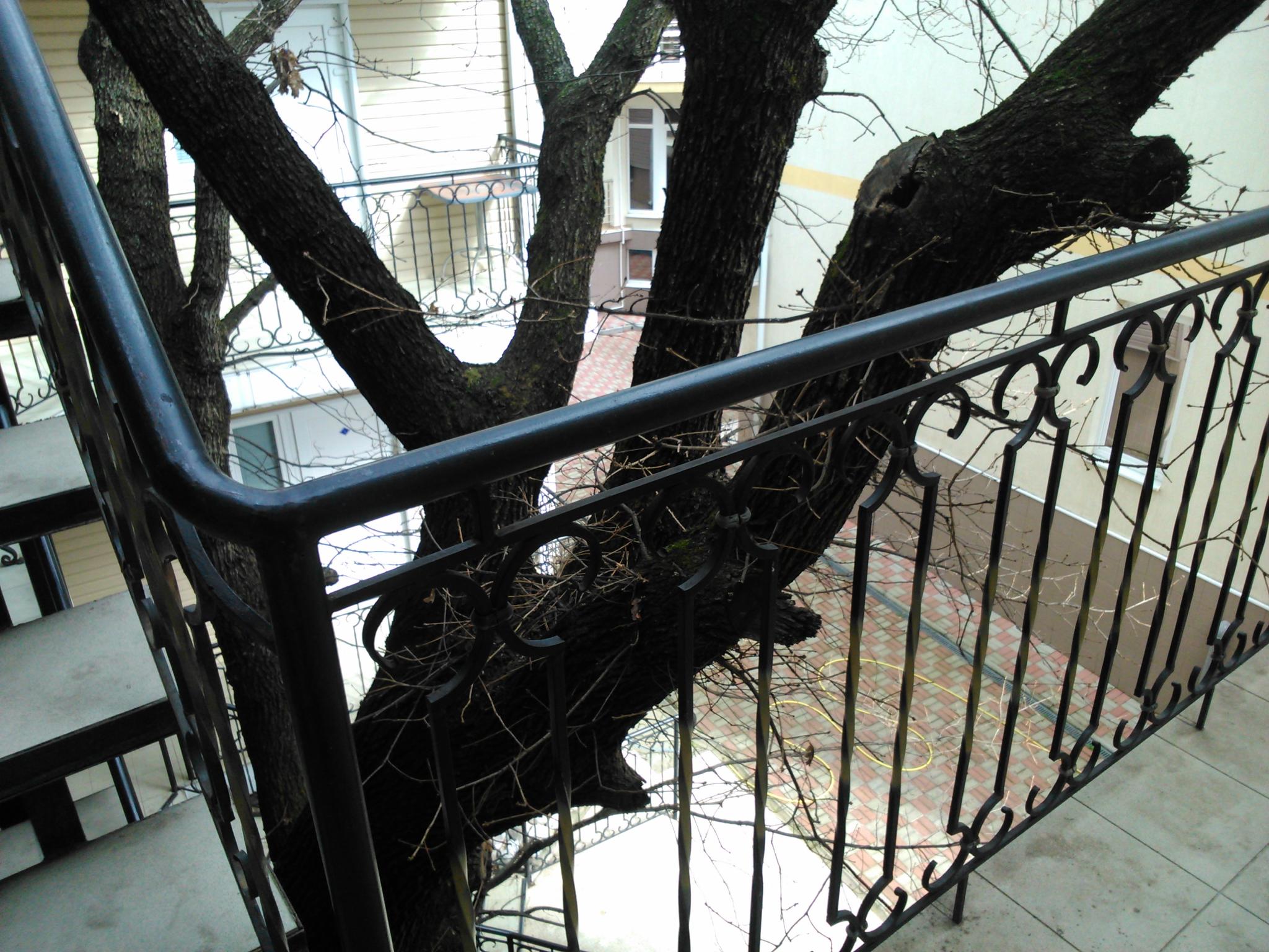 Фото Лукоморье