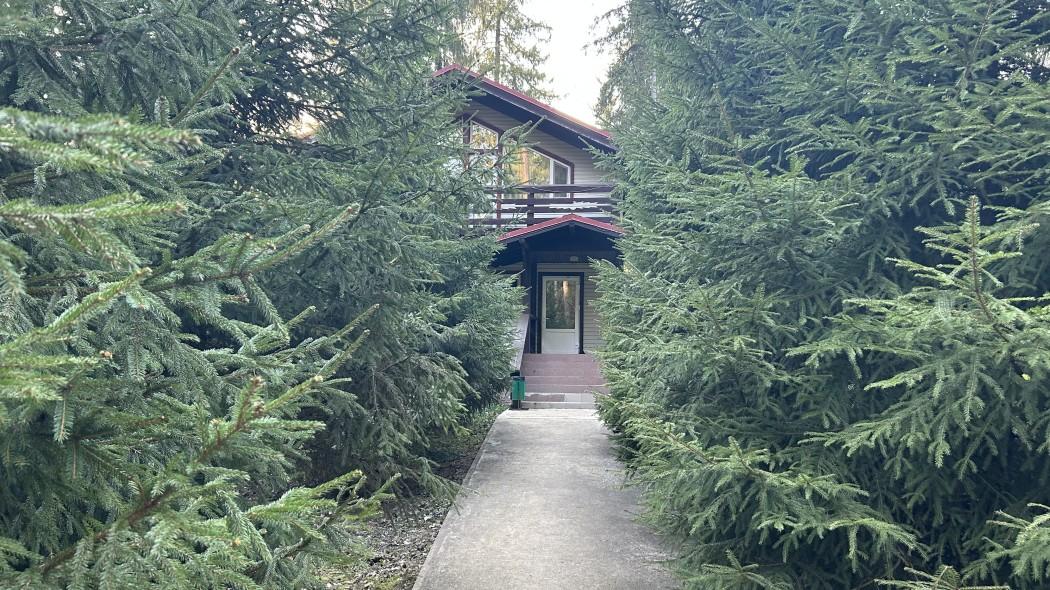 Фото Солонцово