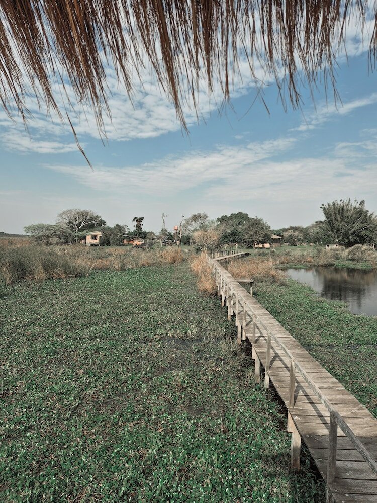 Фото Wild Wetlands Lodge