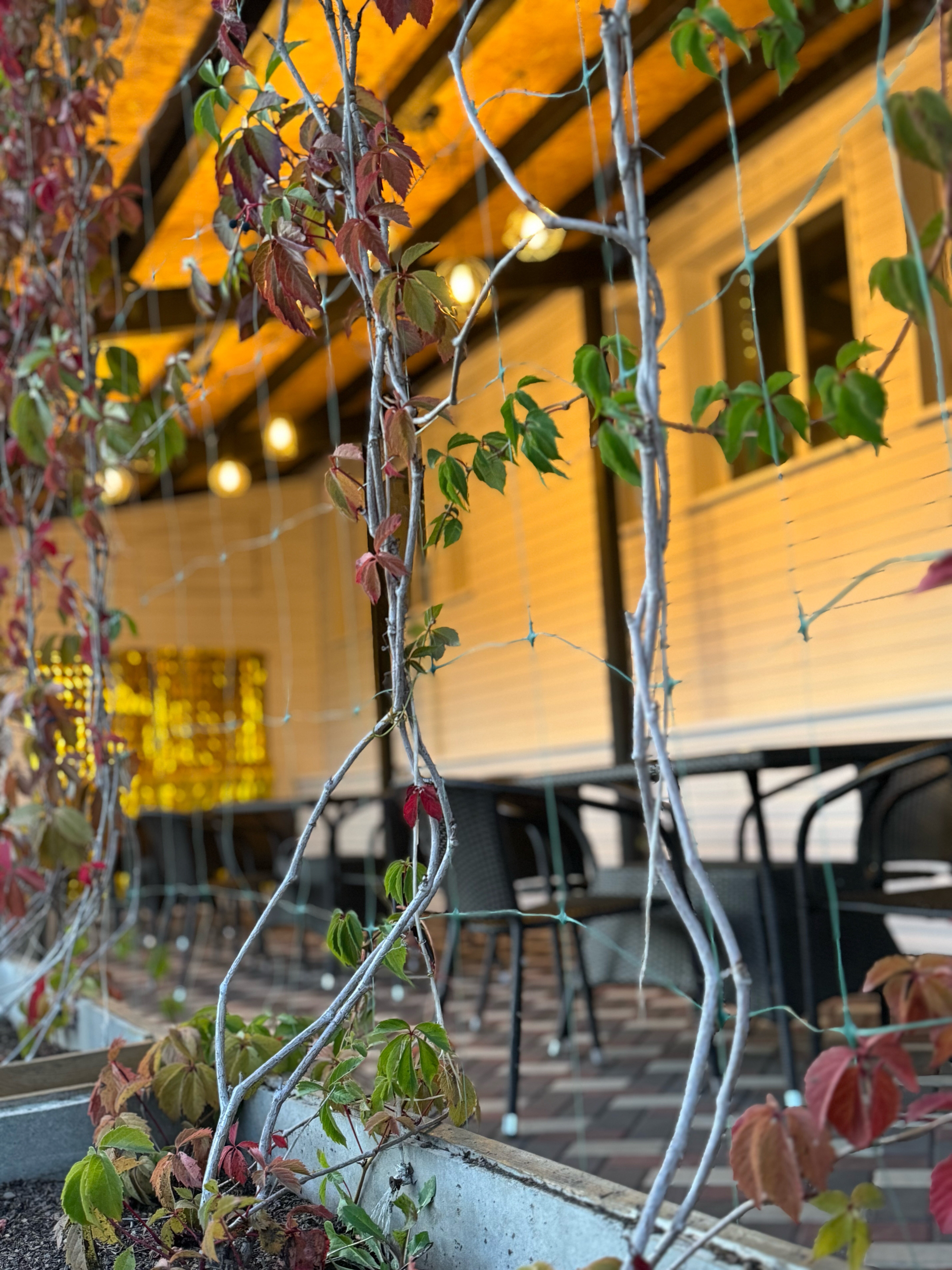 Фото Мотель Высокое