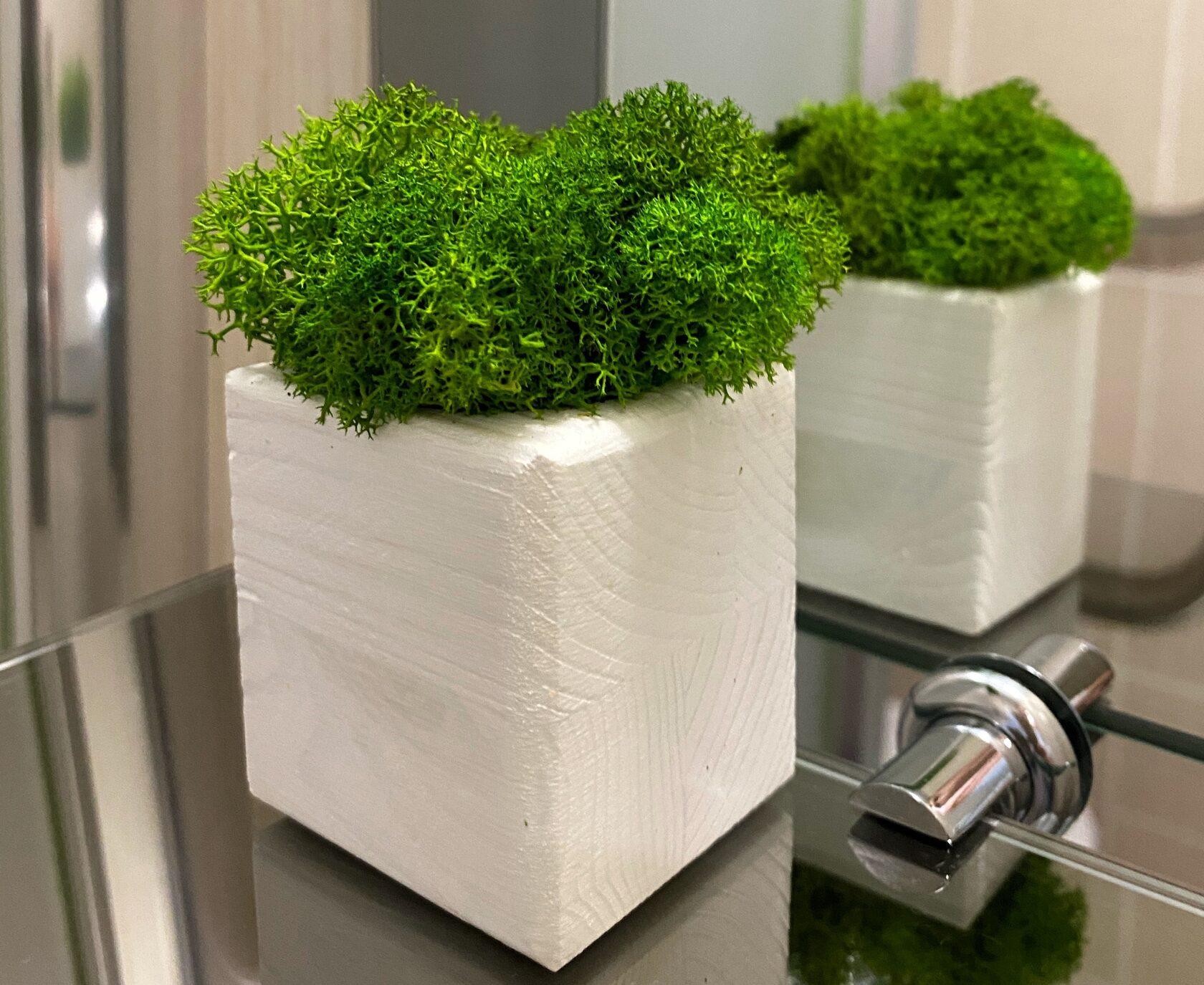 Фото Постоялецъ