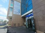 Cameli (Saraıshyq kóshesi, 34), flower shop