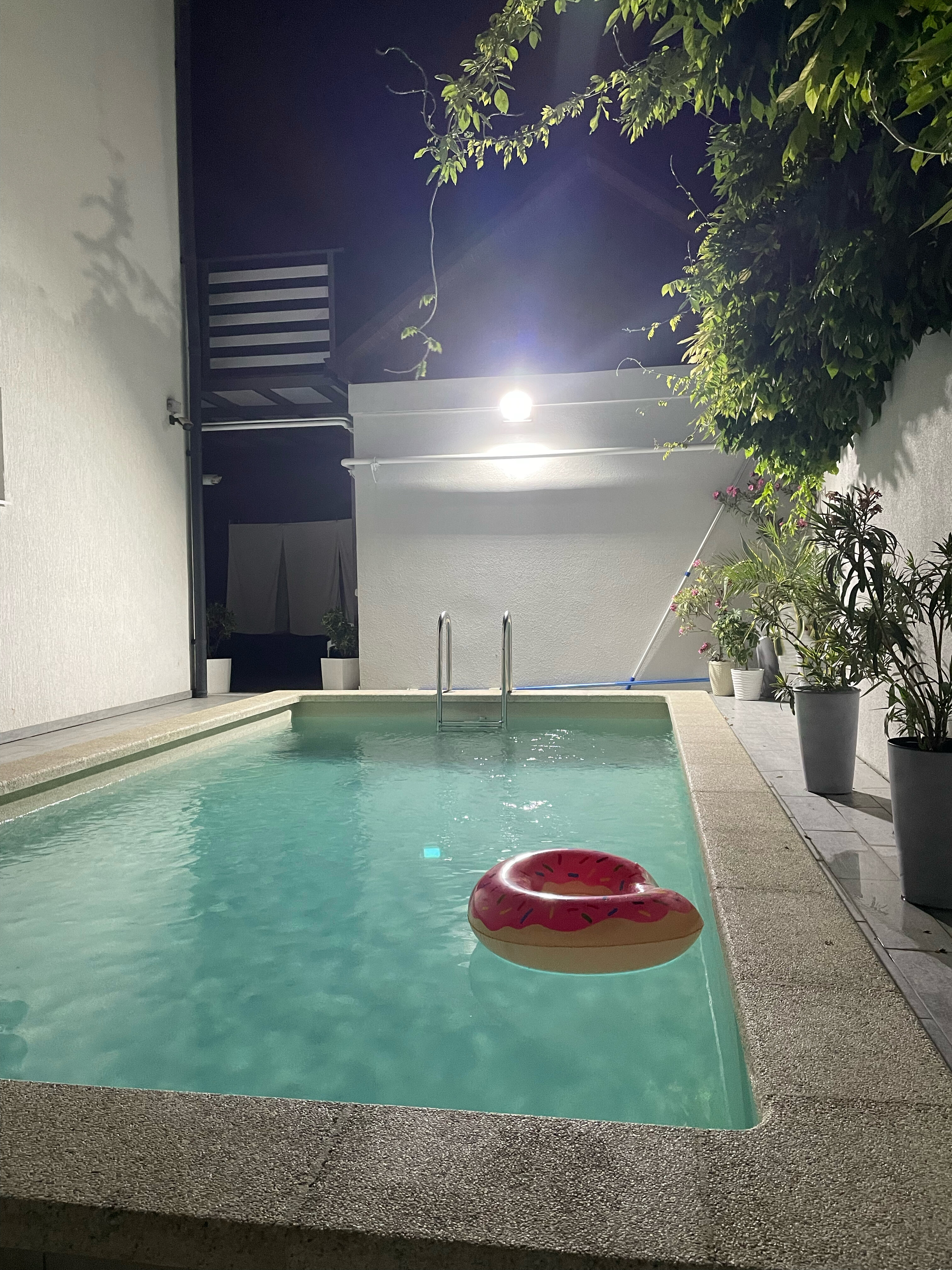 Фото Южная Роза