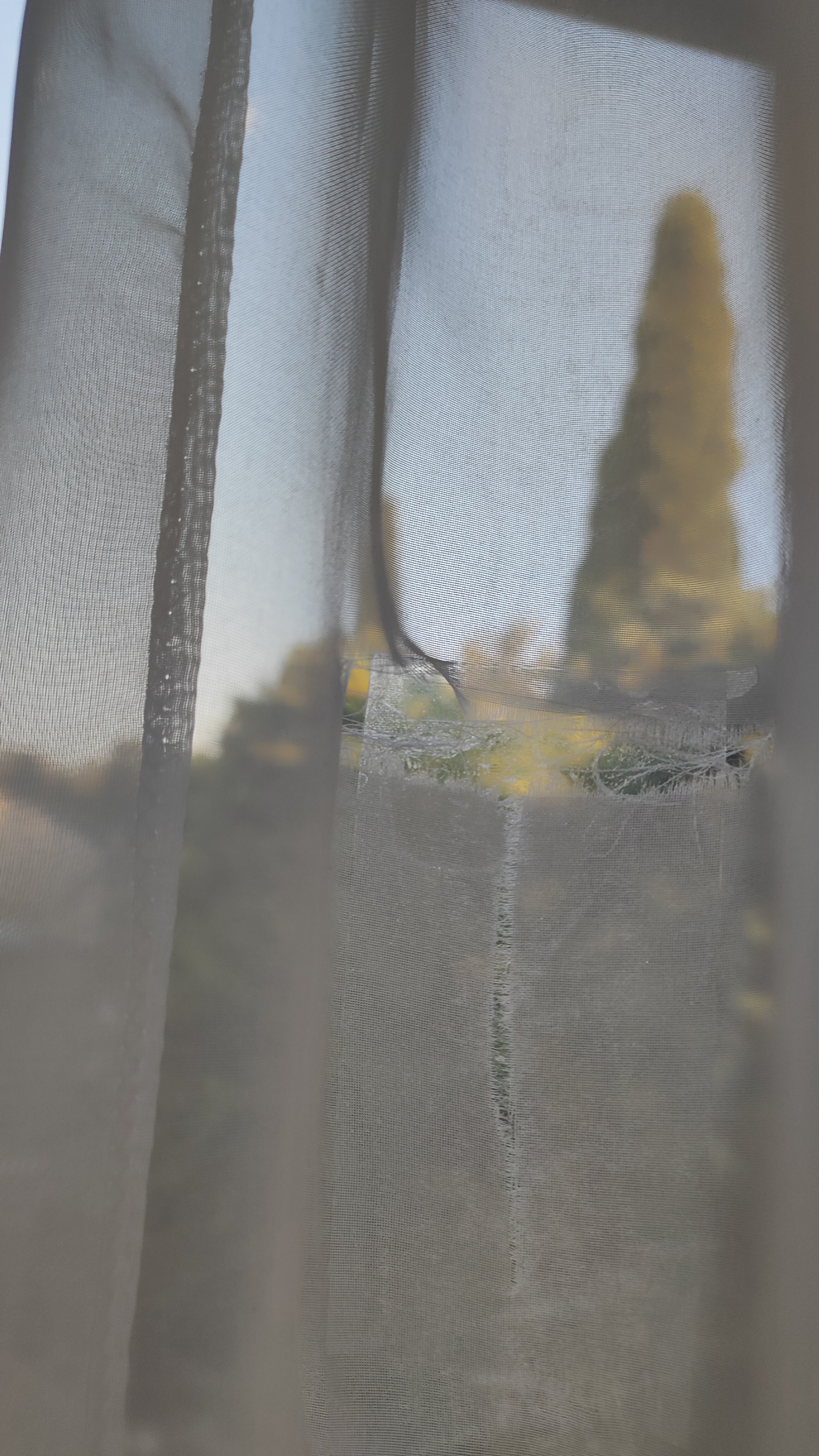 Фото Морской бриз