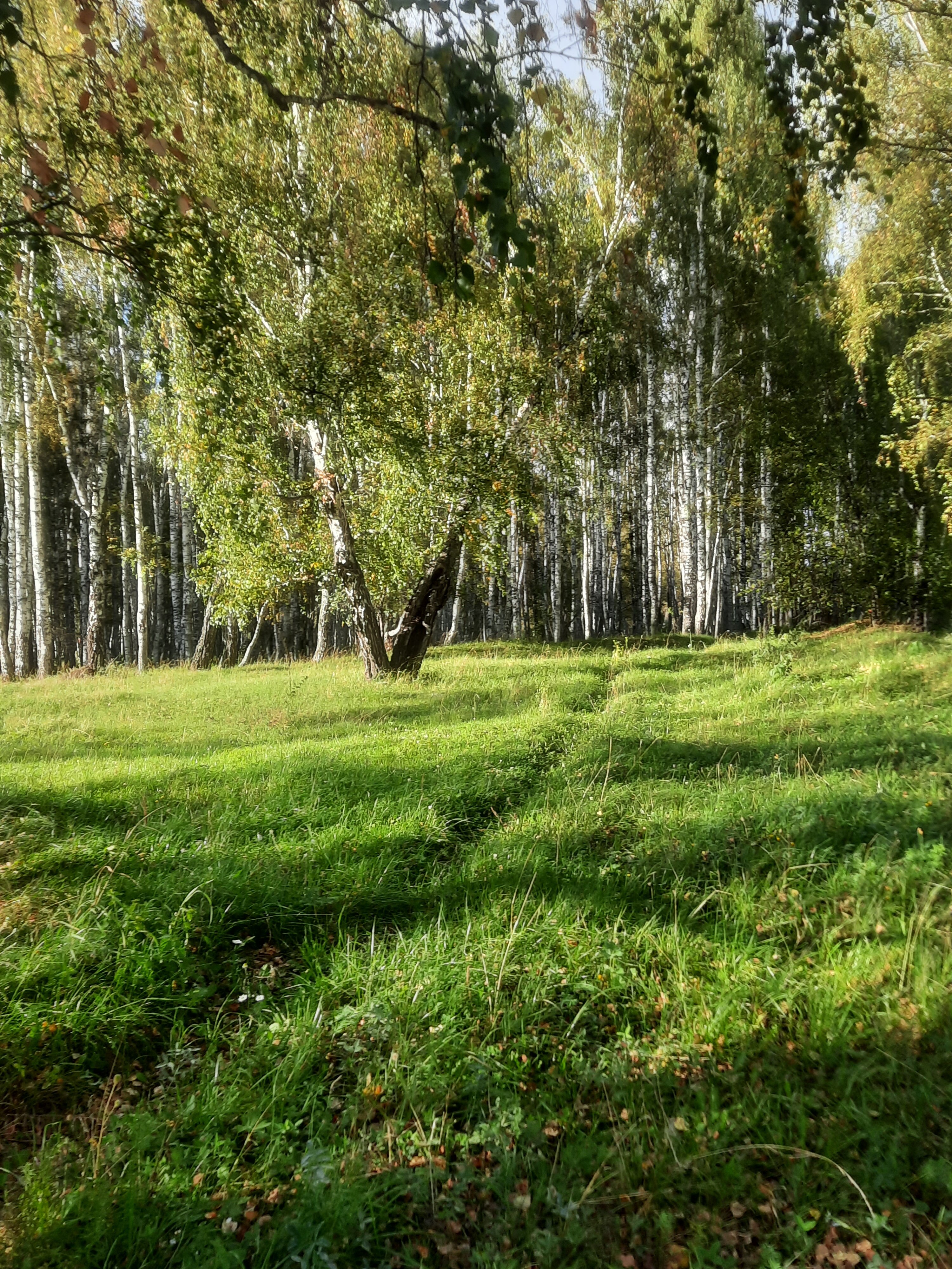 Фото Кубагушево Вилладж