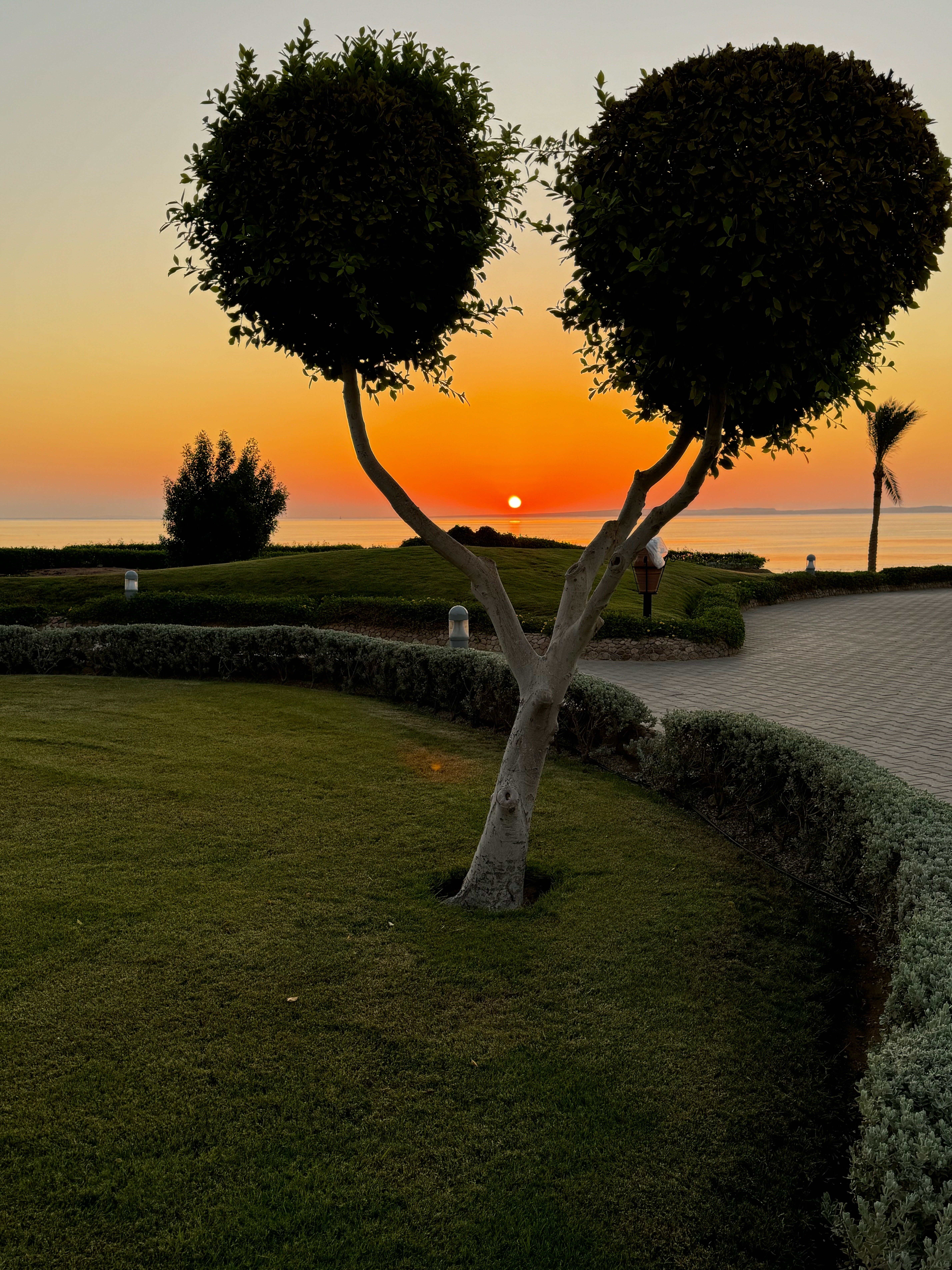 Фото Charmillion Club Resort