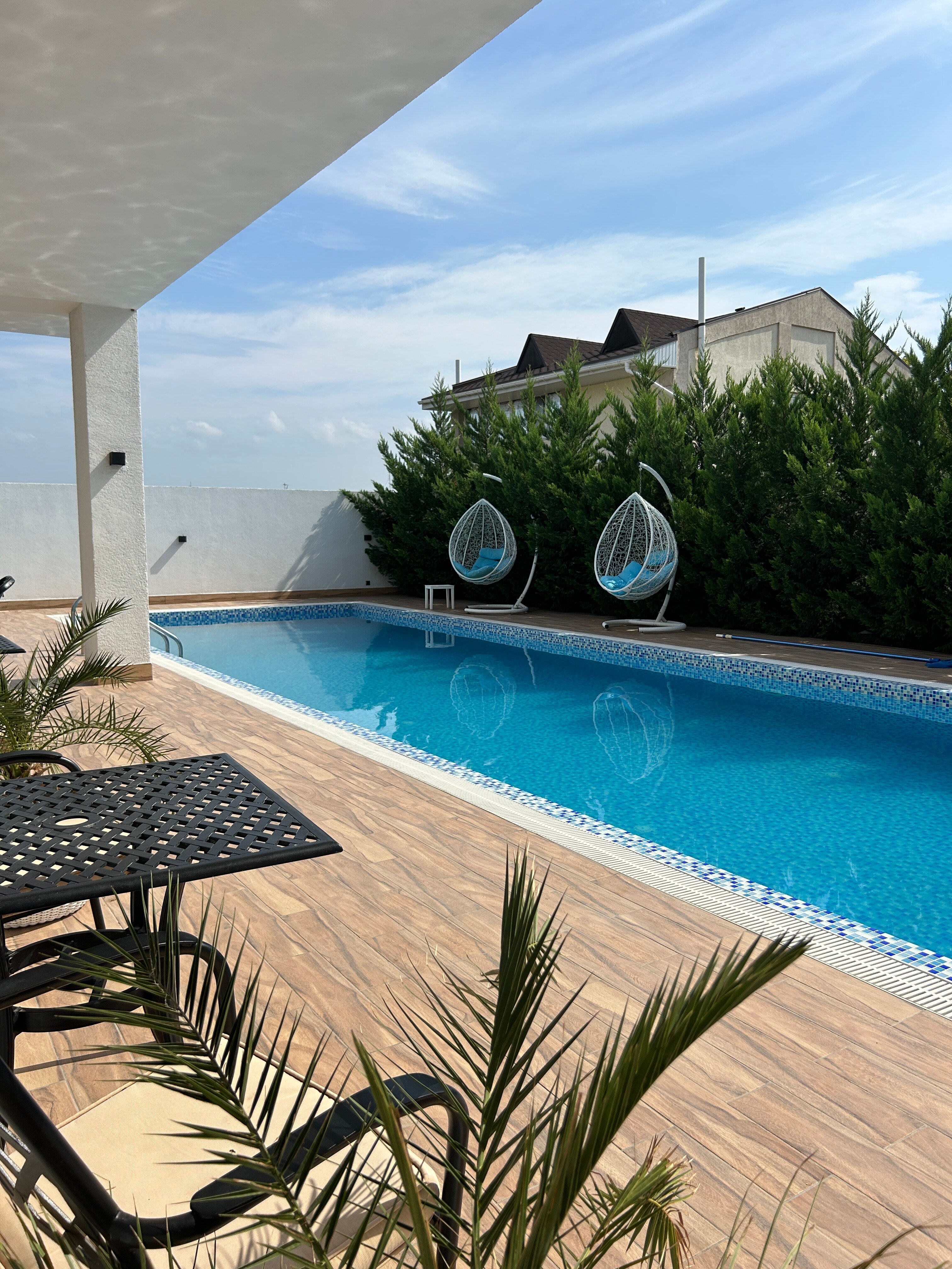 Фото Аристо