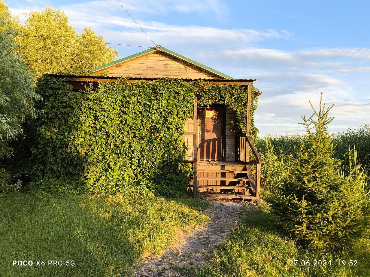 Фото Золотой Лотос