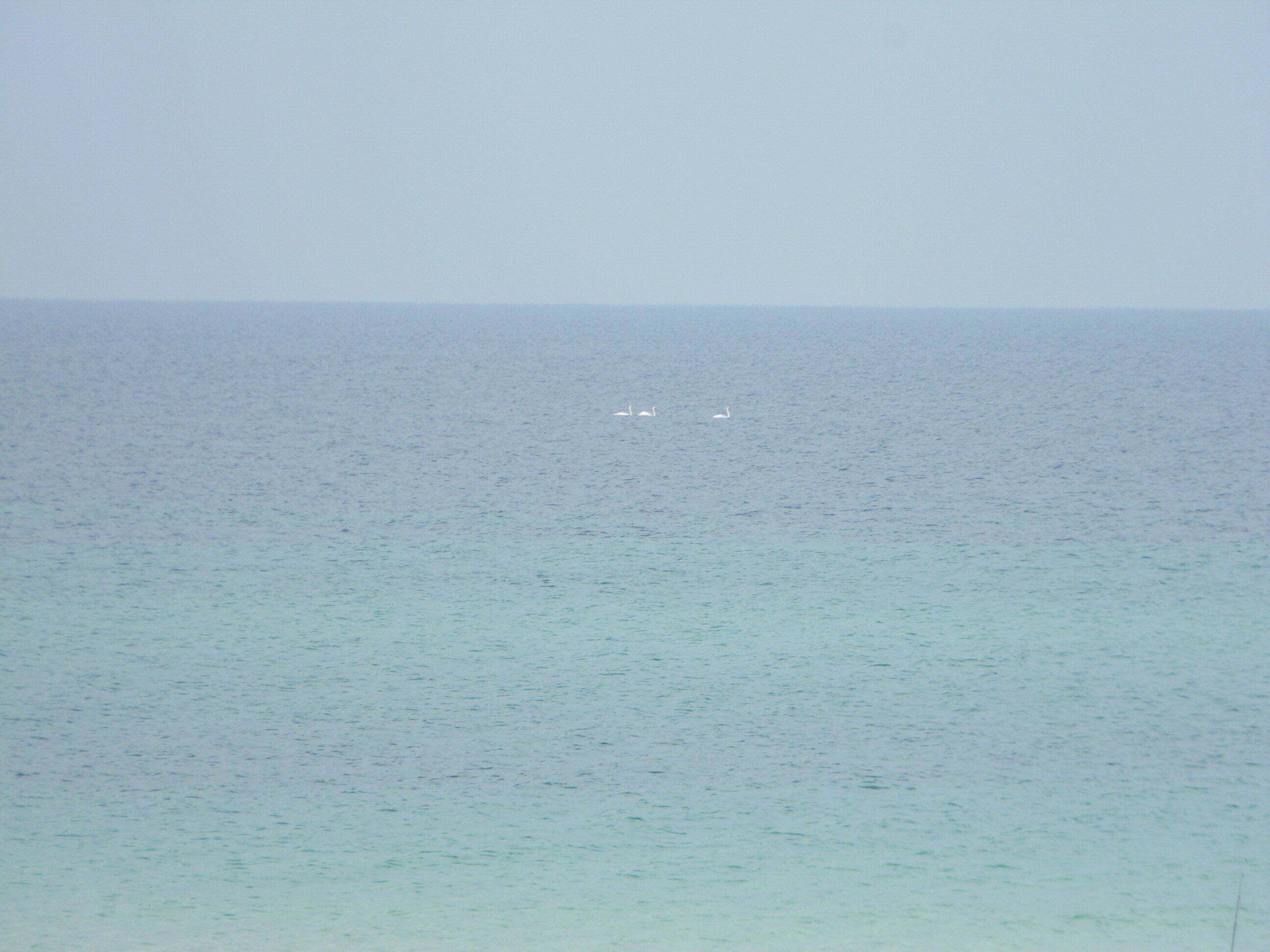 Фото Летний домик Юг