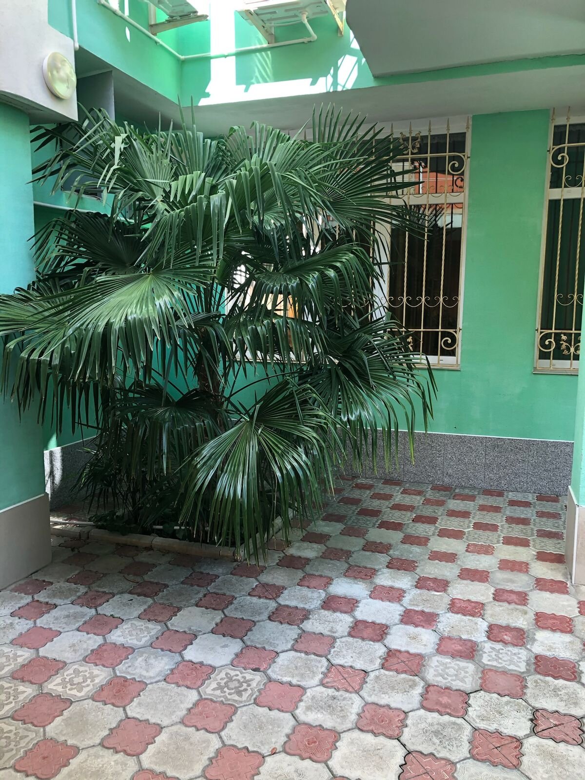 Фото Коктейль