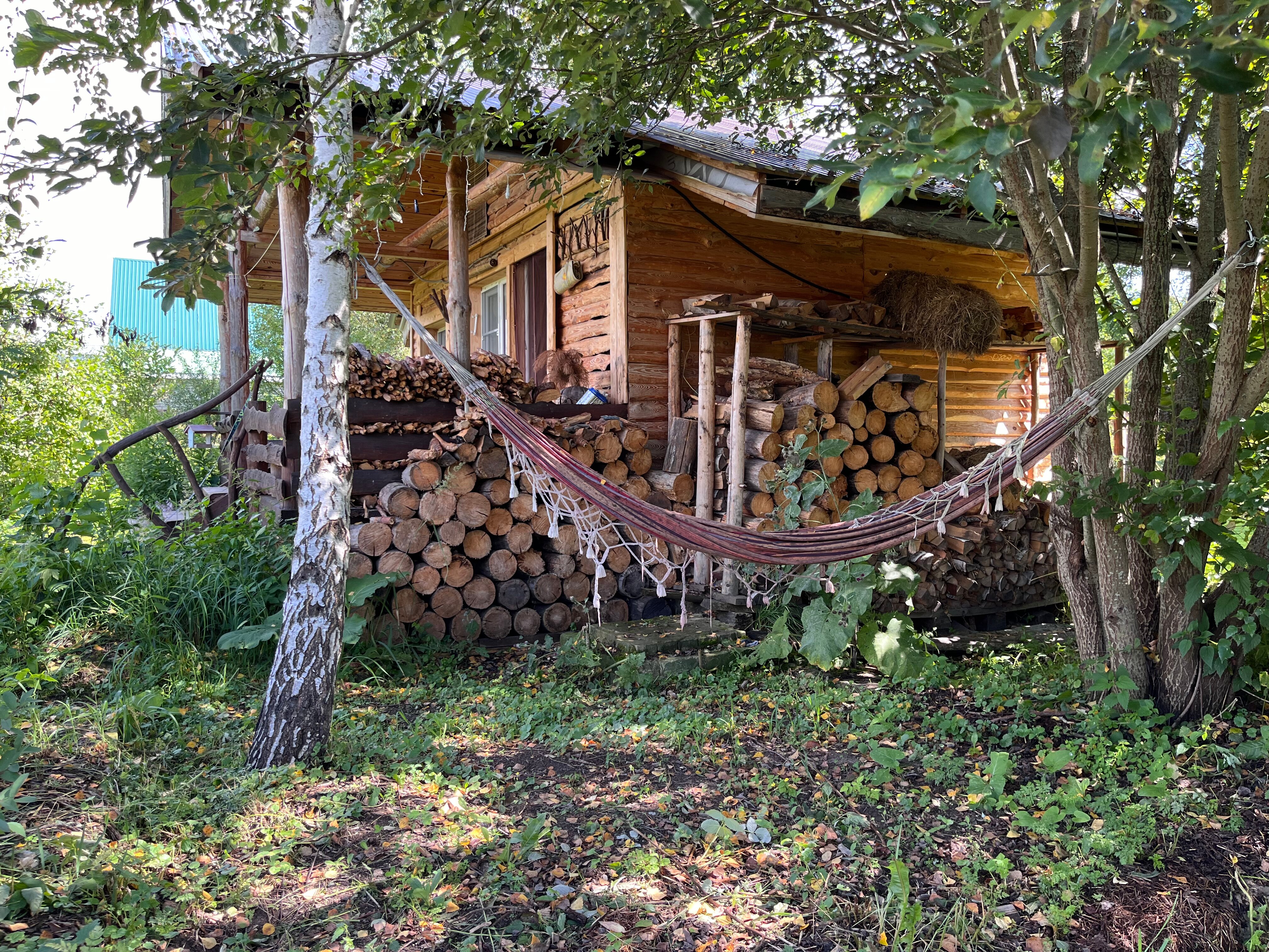 Фото Кедросад