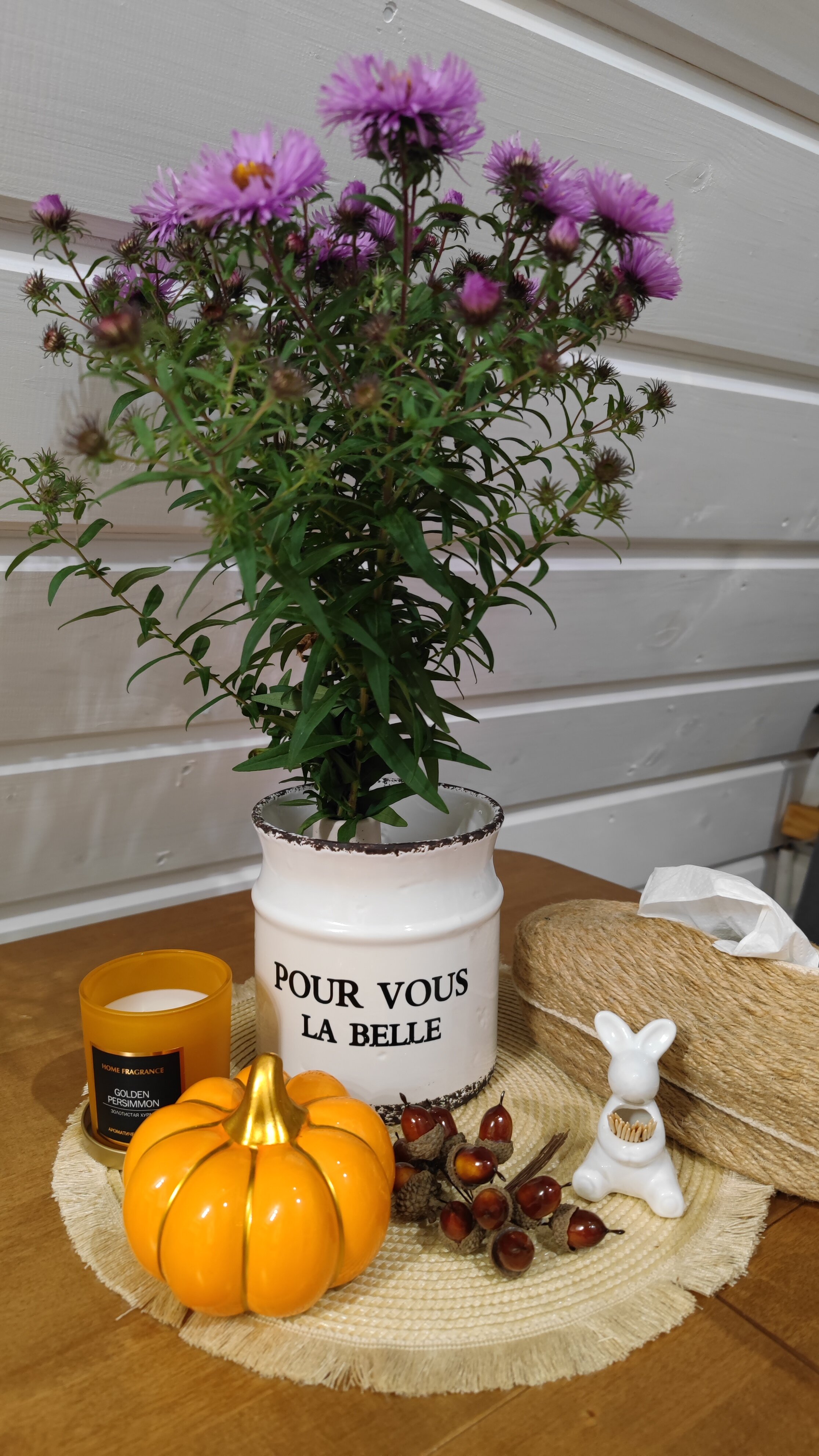 Фото Афрейм Бережок