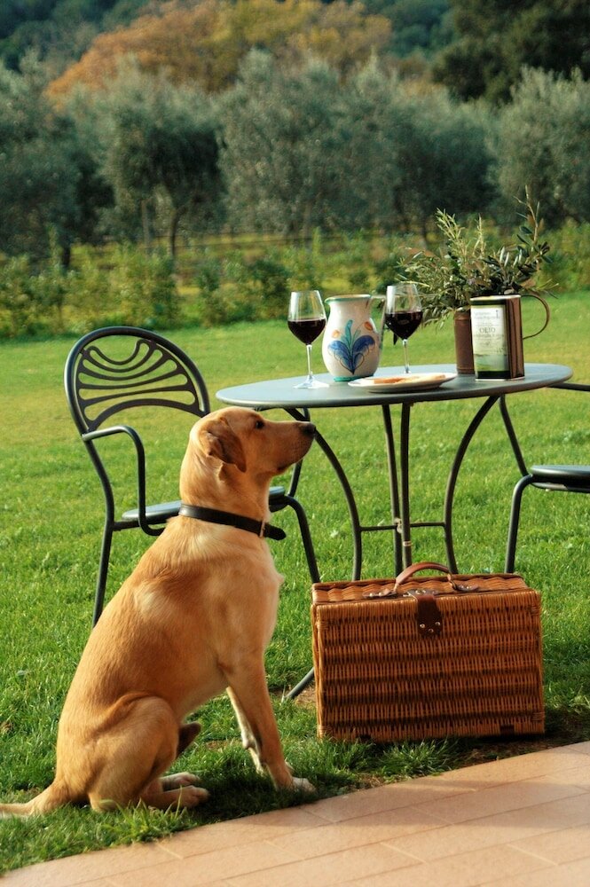 Фото Agriturismo Monte Argentario