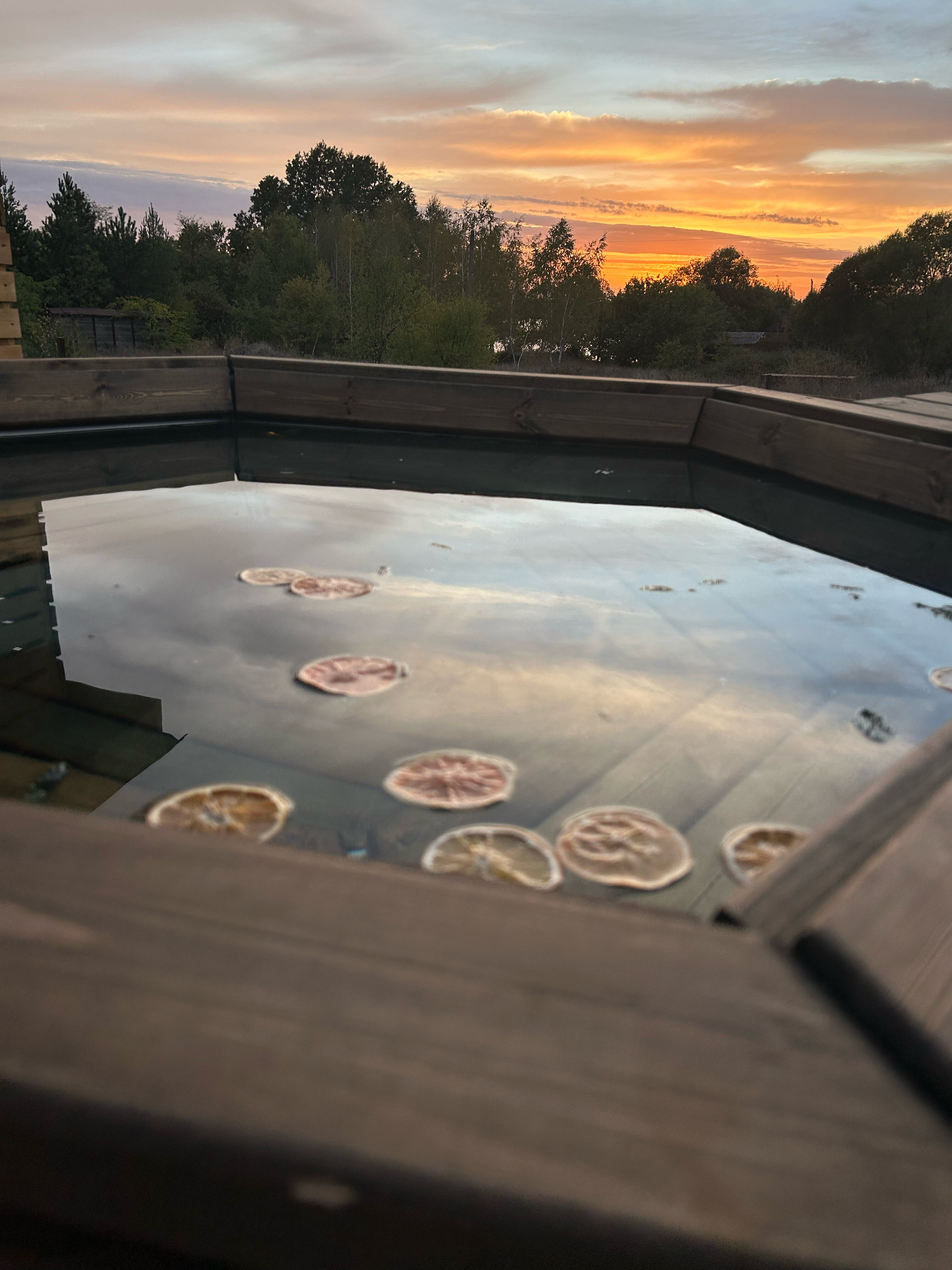 Фото Гнездо