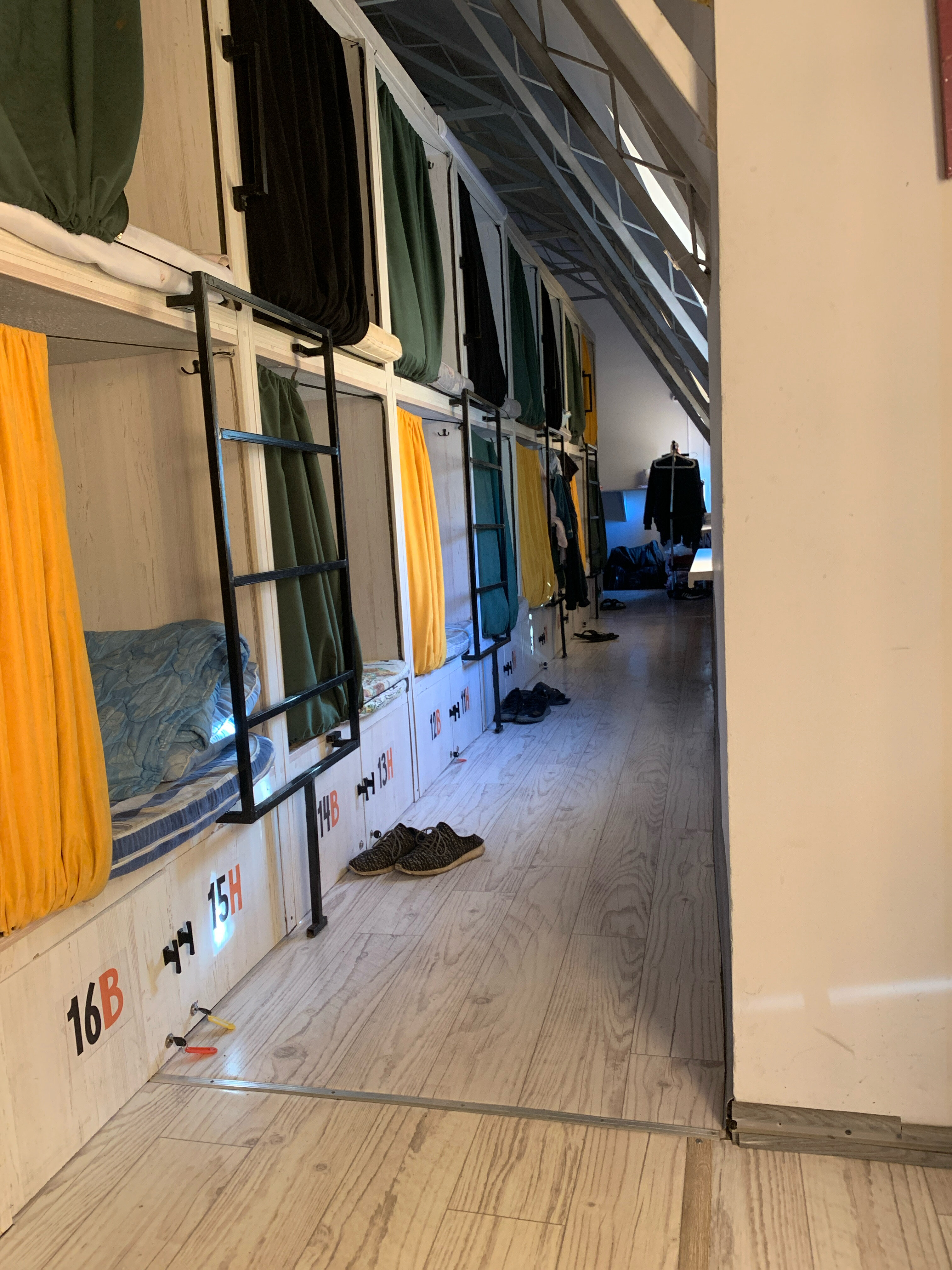 Фото Zёbra House