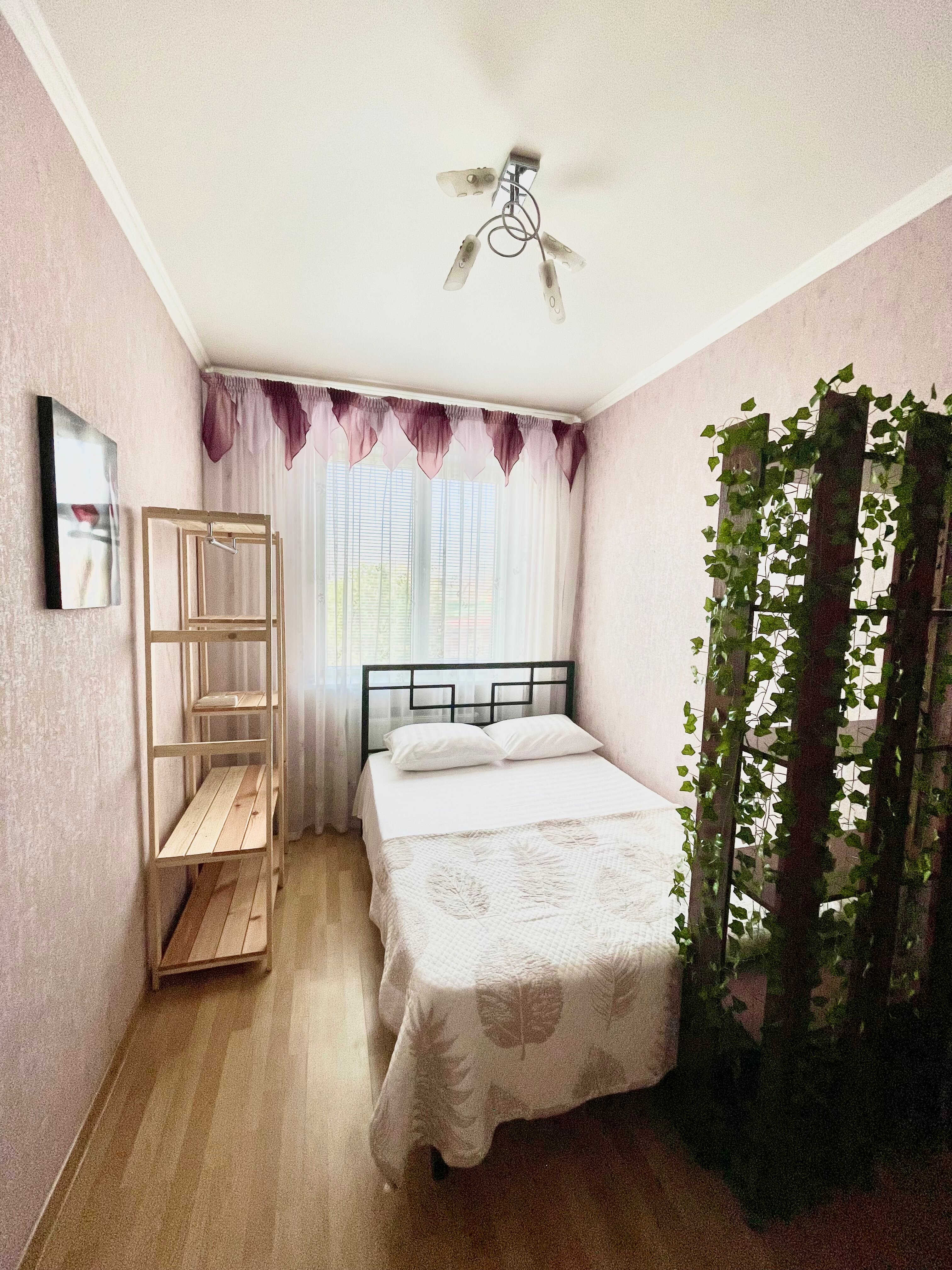 Фото Аленушкина сказка