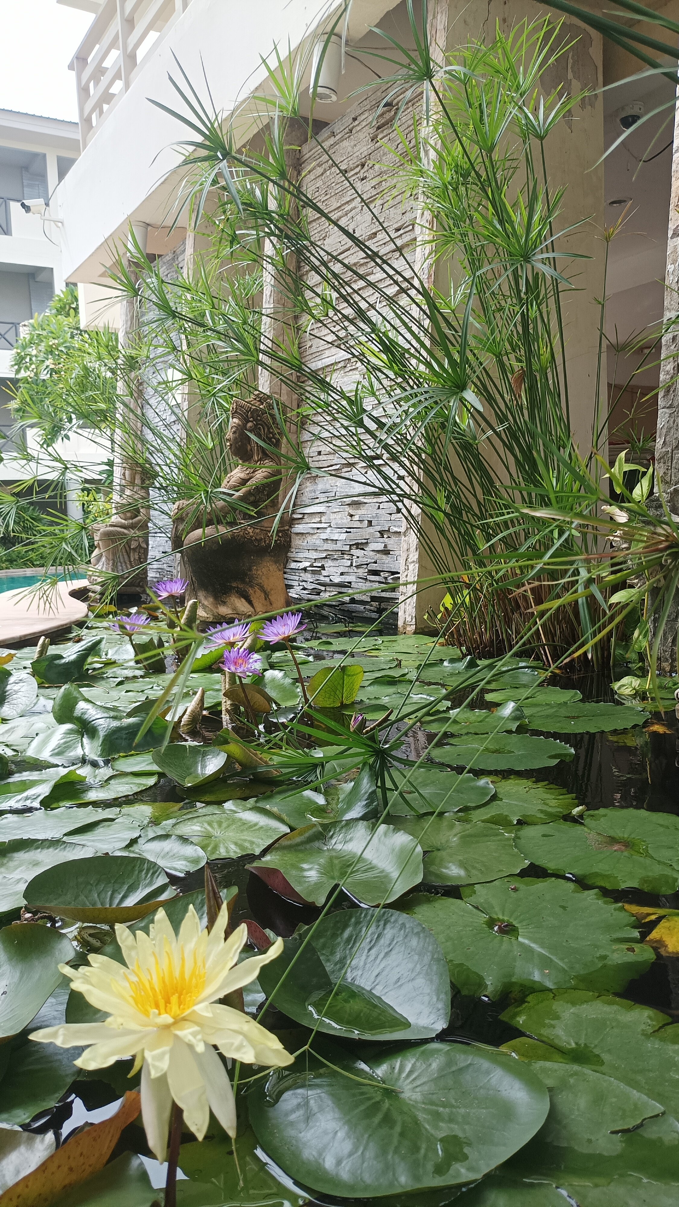 Фото Sea Breeze Jomtien Resort