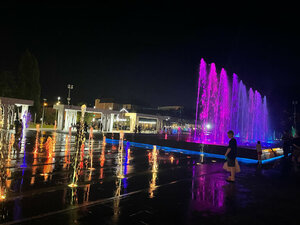 Fountain (Penza, Fontannaya Square), fountain