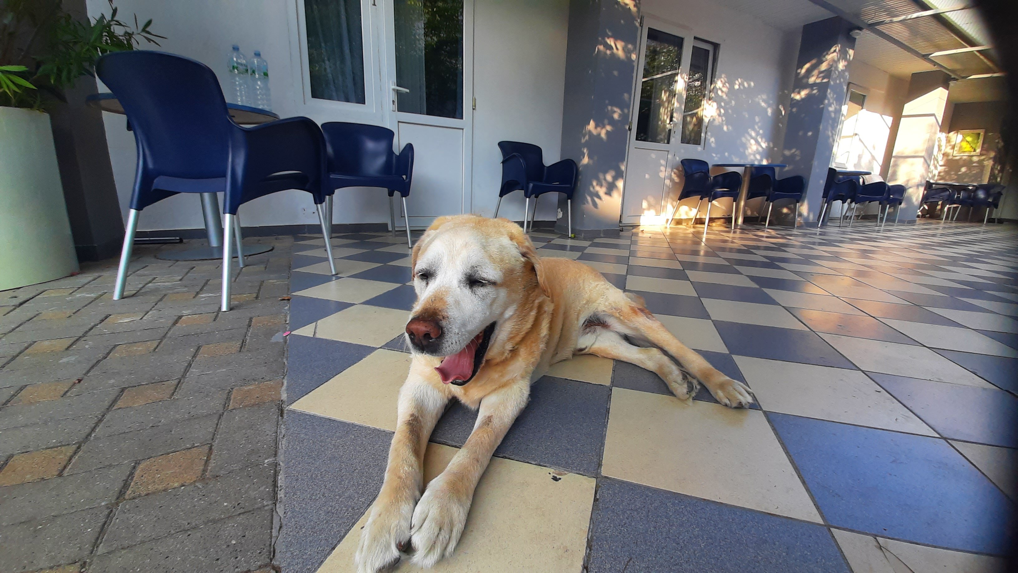 Фото Мохито