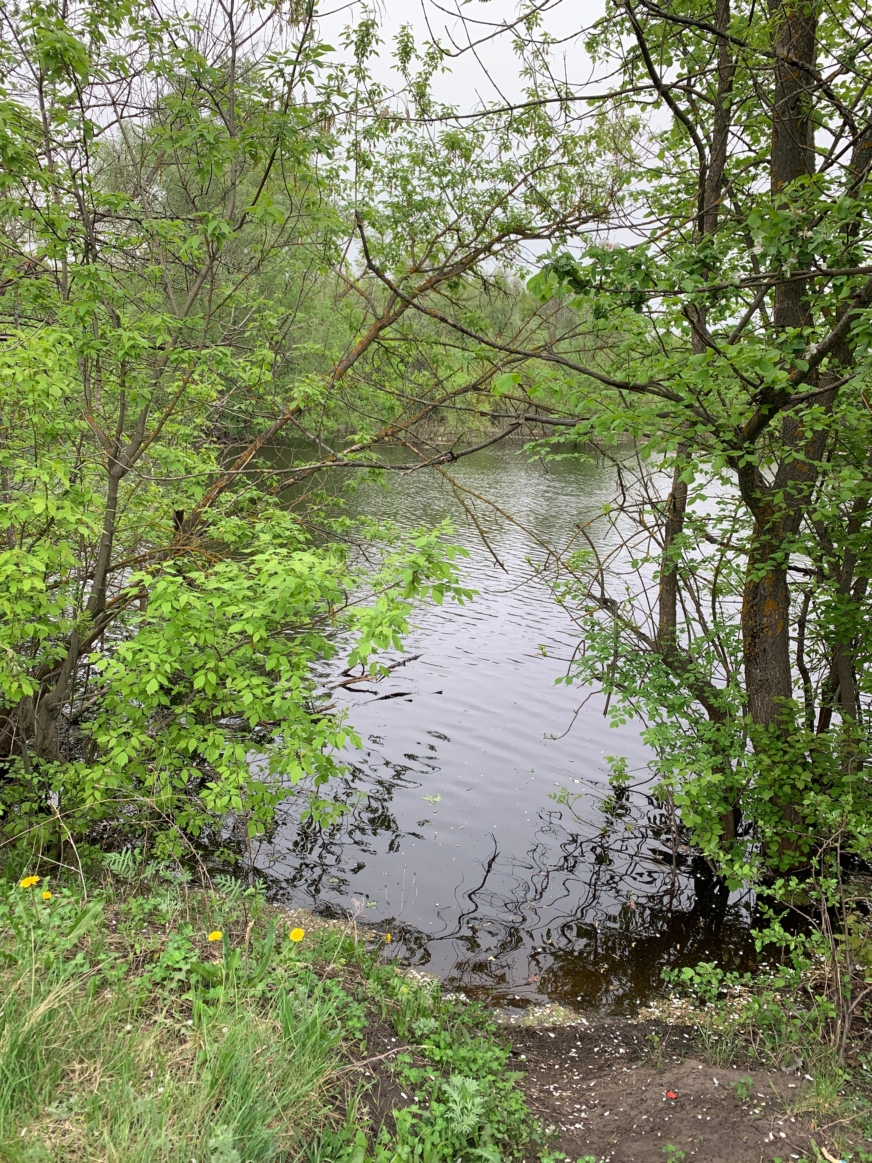 Фото Белая ворона