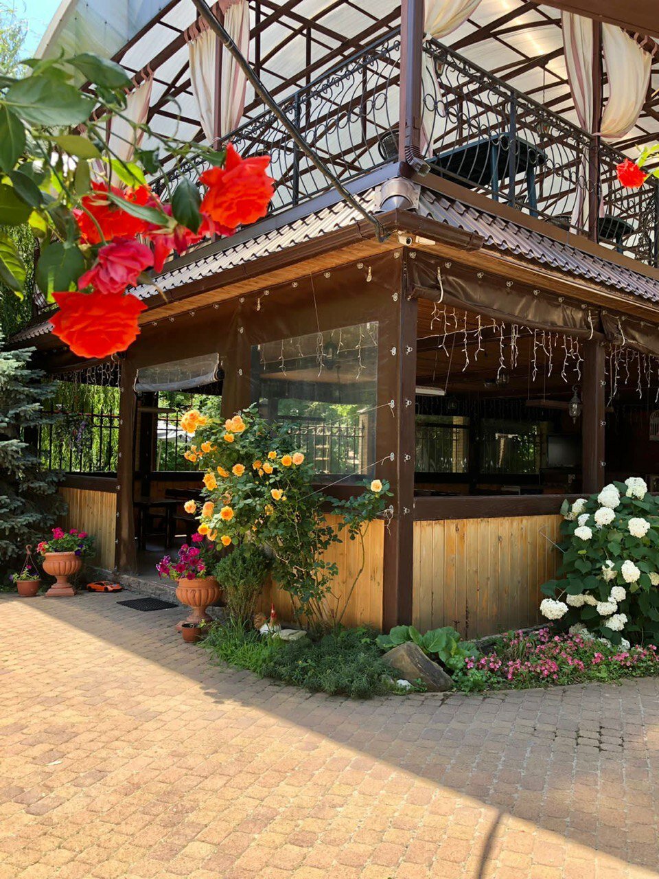 Фото Ашамба