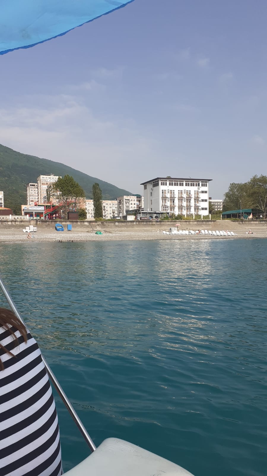 Фото Орхидея