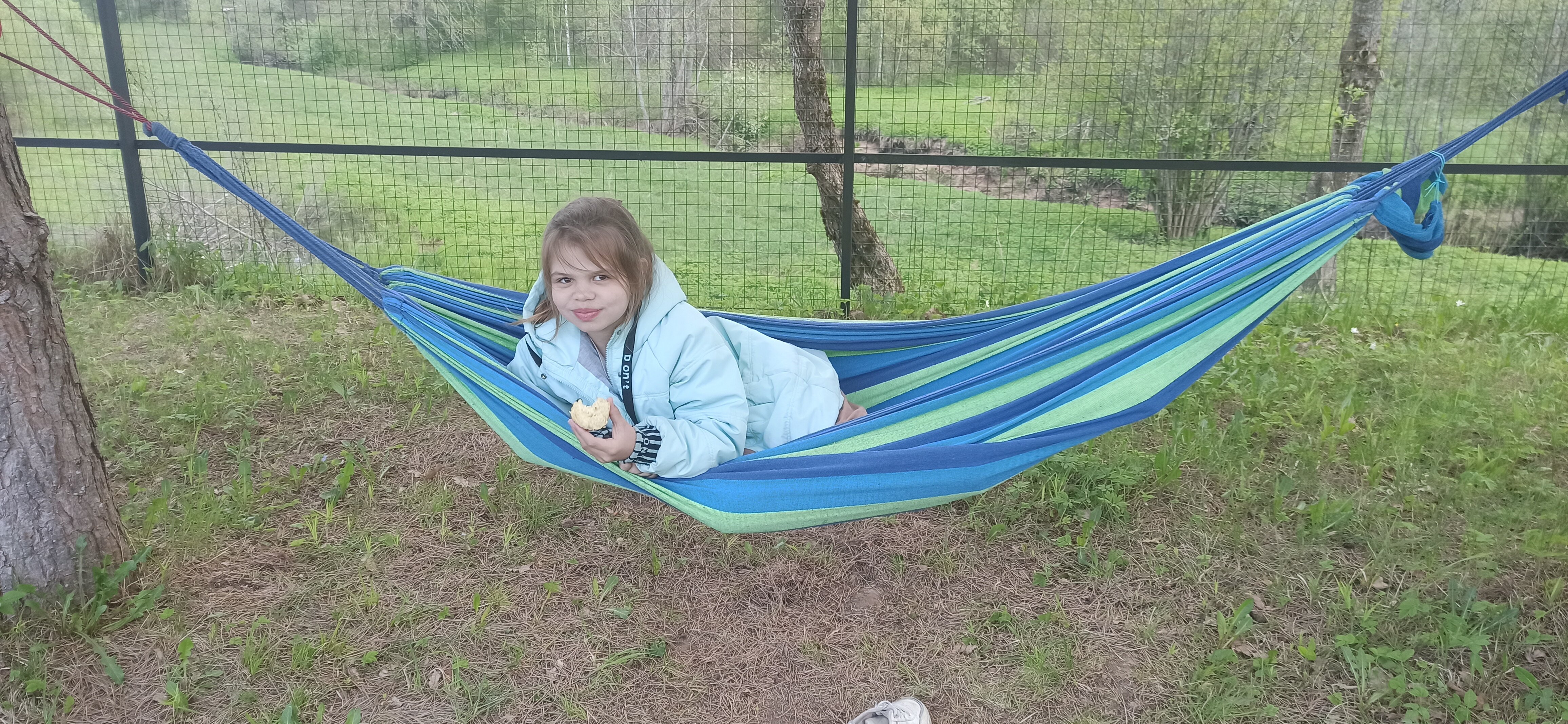 Фото Морошка