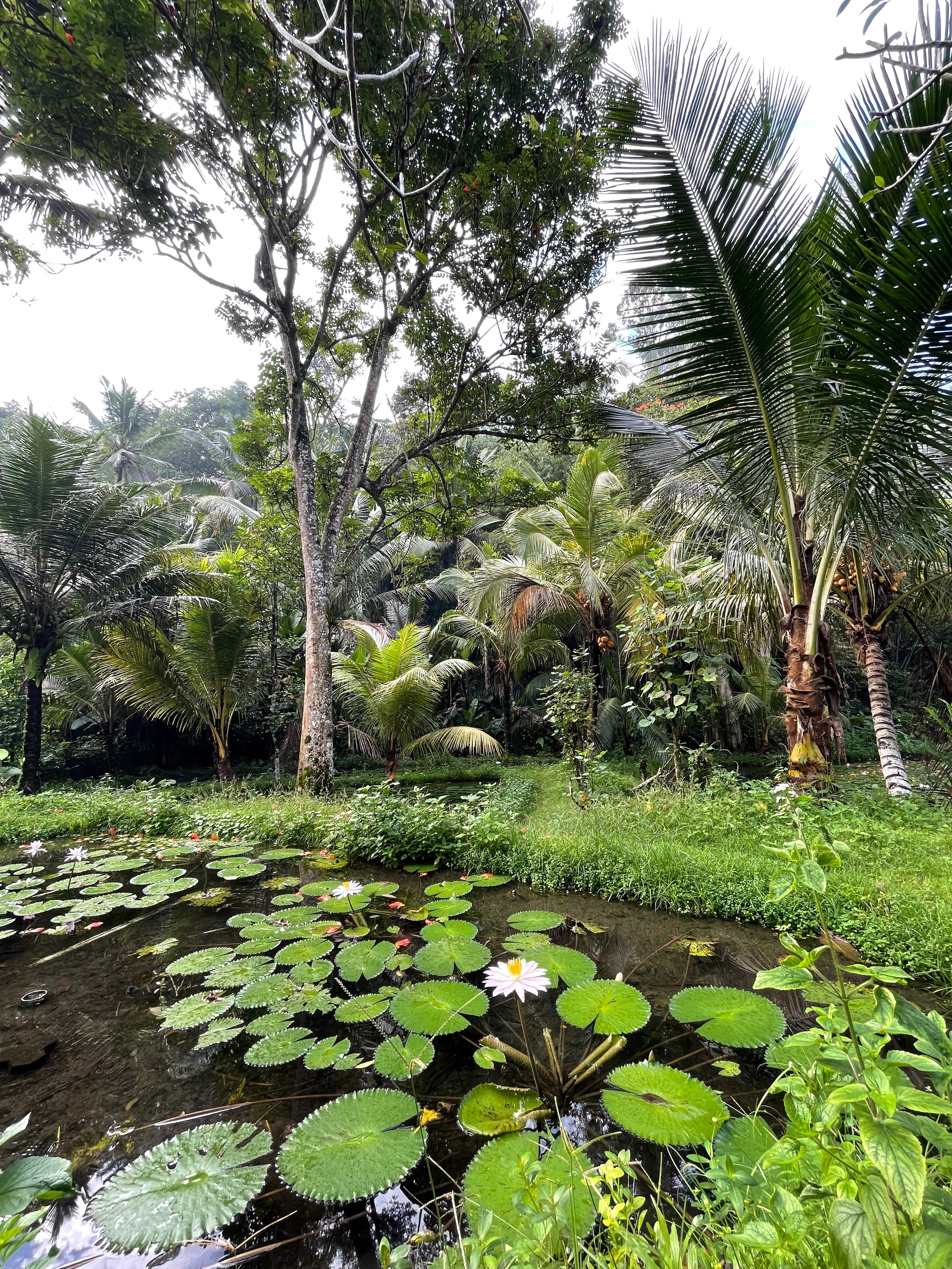 Фото Anathera Resort Kuta