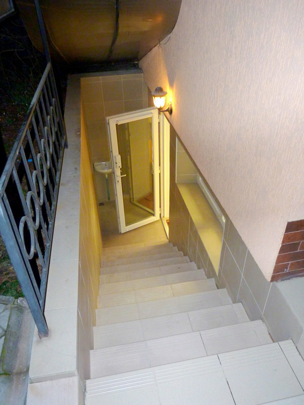 Фото Виноградная лоза