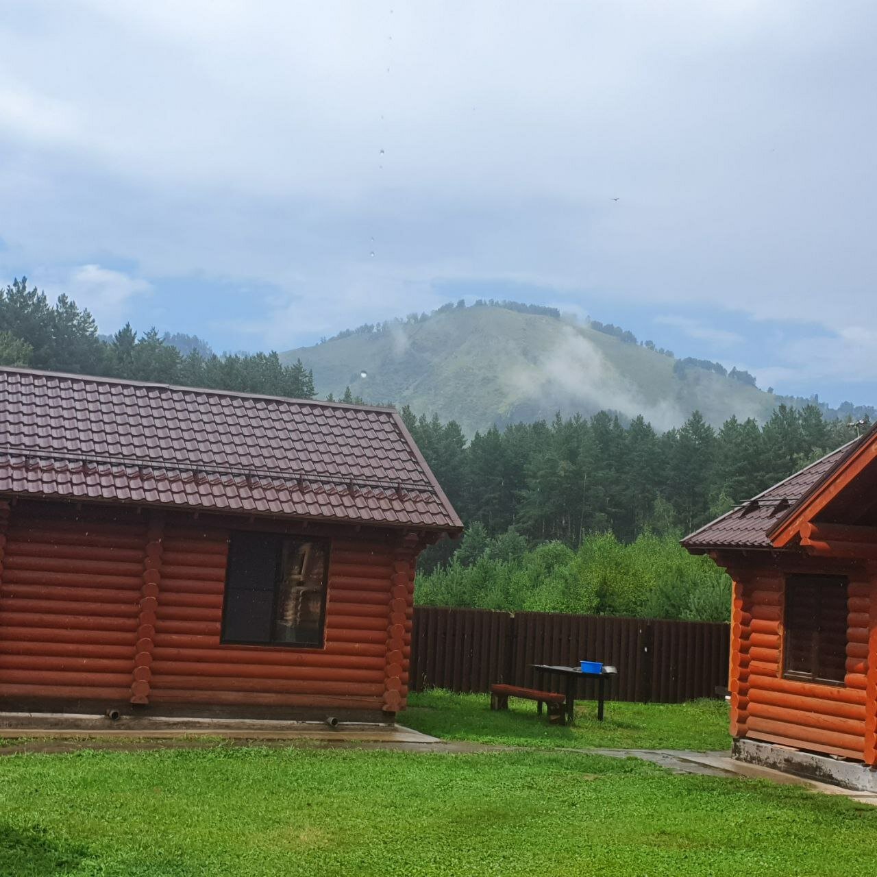 Фото Кедровый Двор