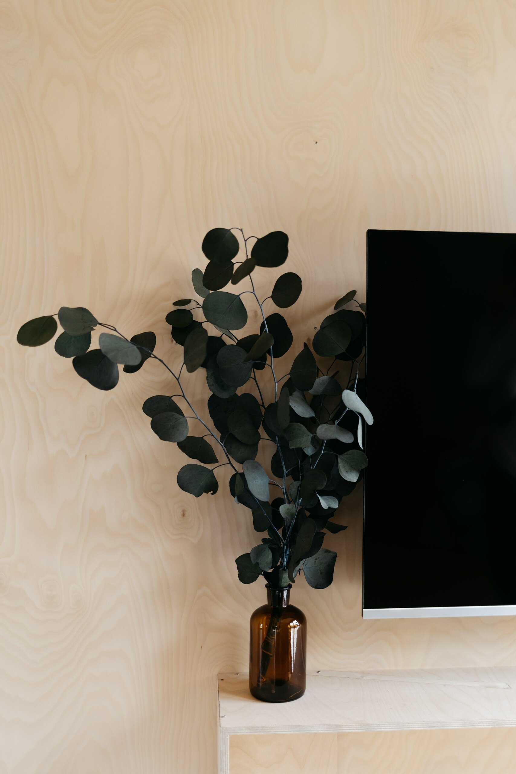 Фото Куничка