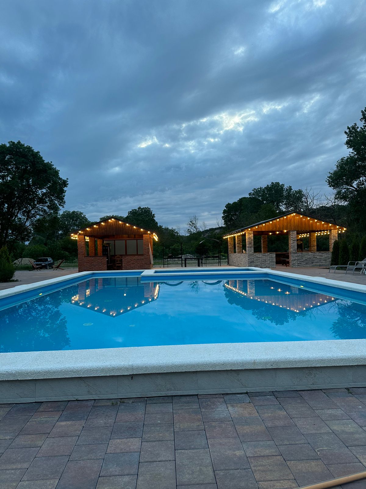 Фото Кипарис