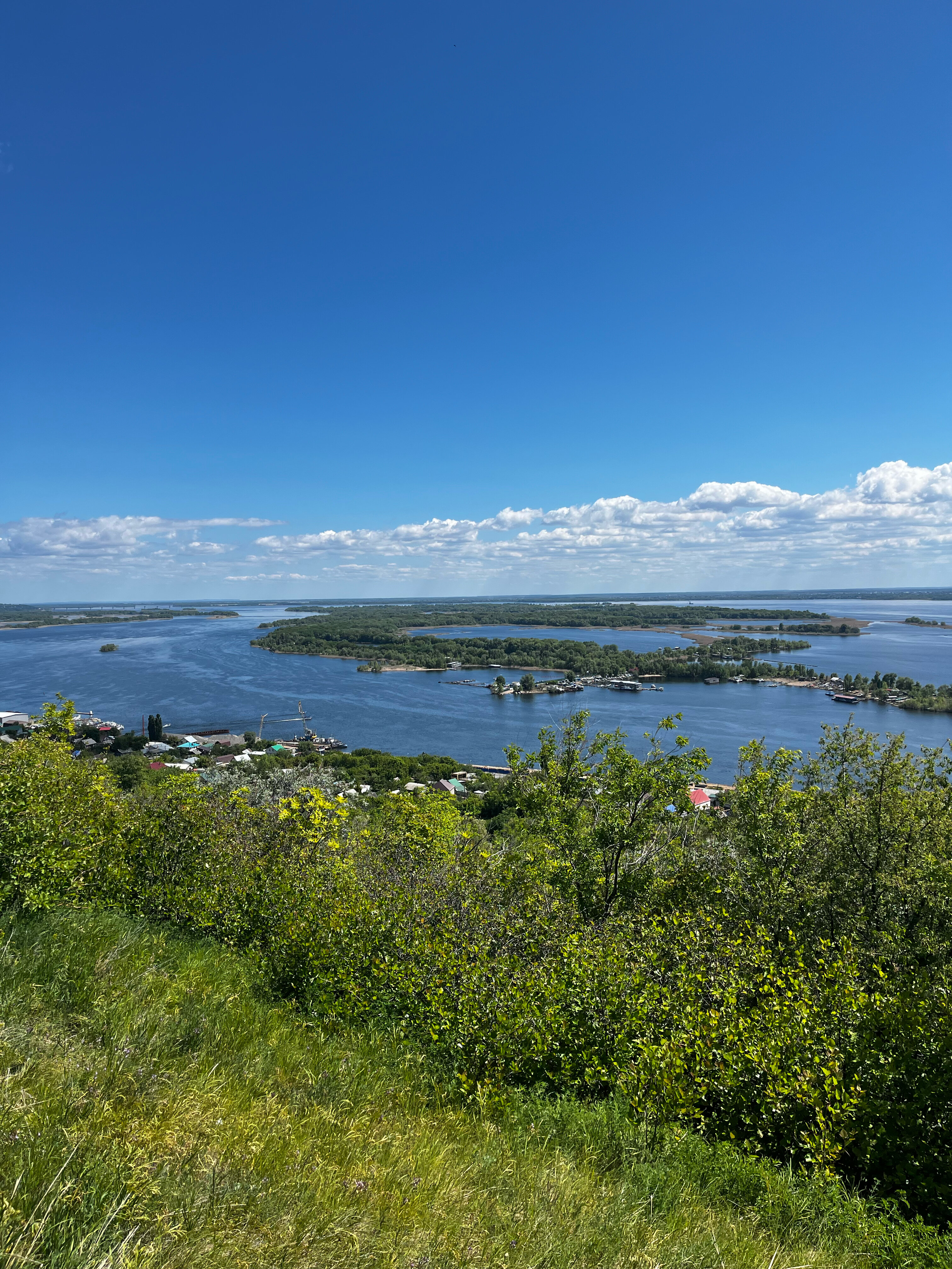 Фото Журавли