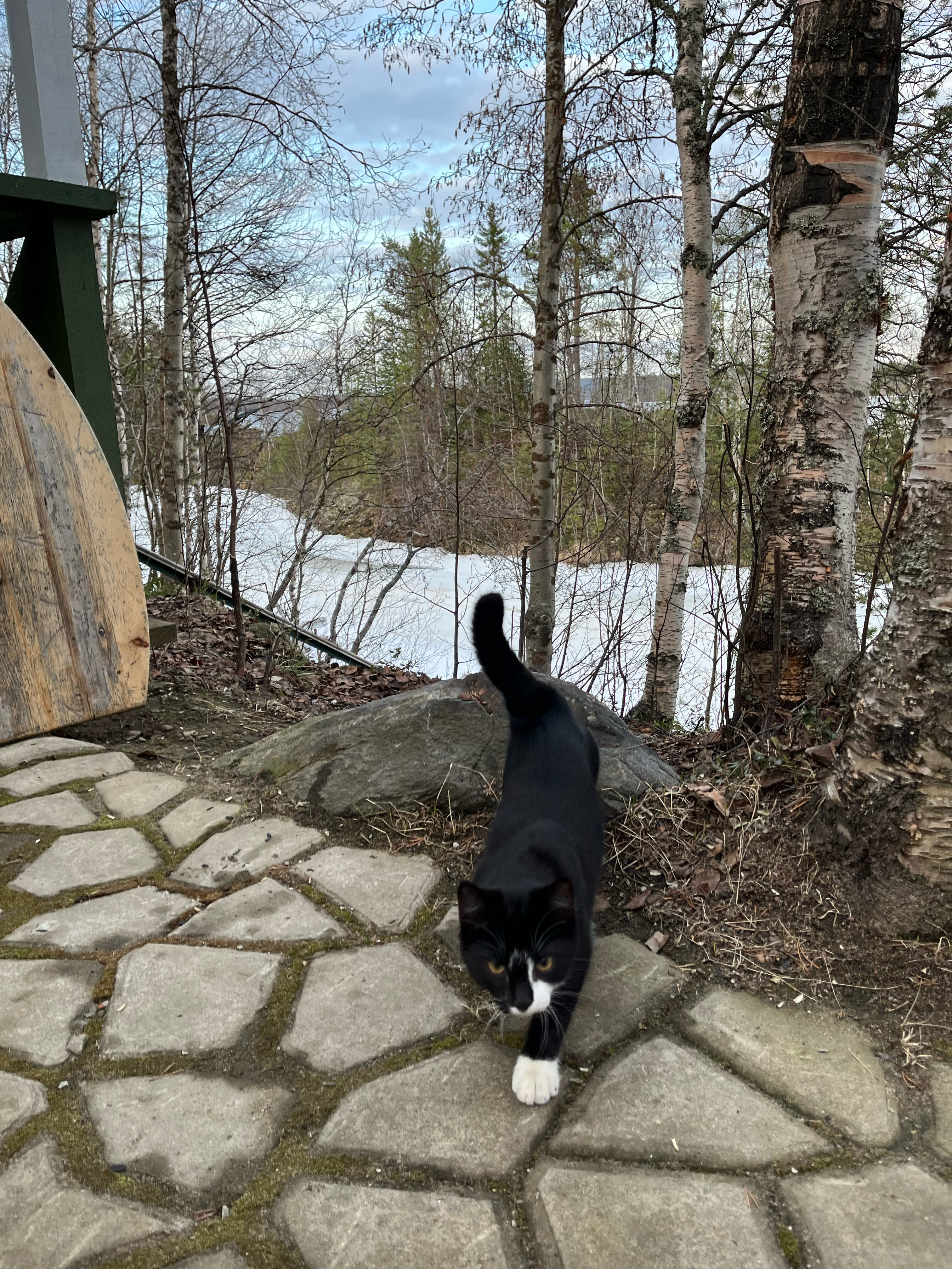 Фото Голубая бухта