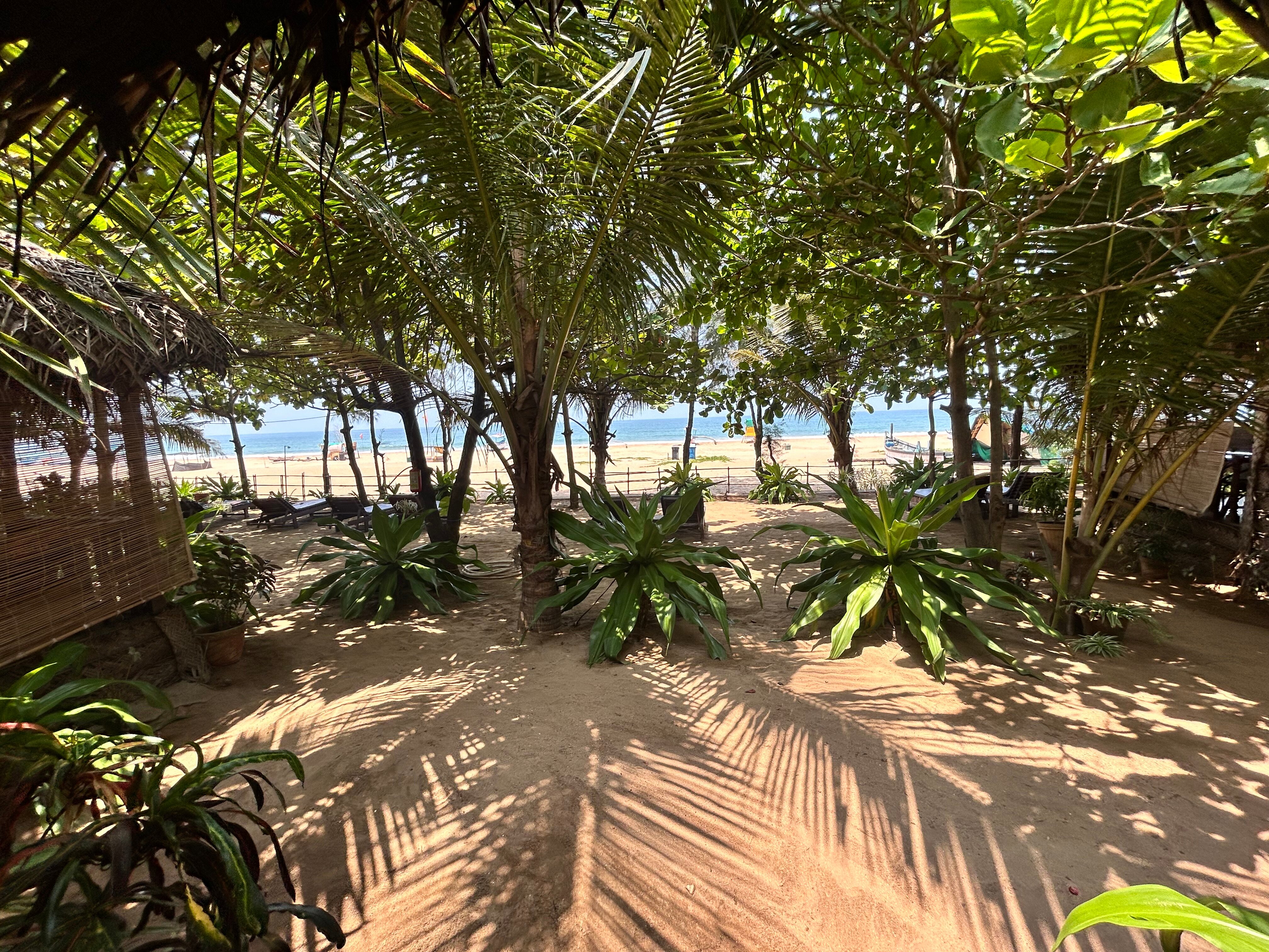 Фото Mariposa Beach Grove