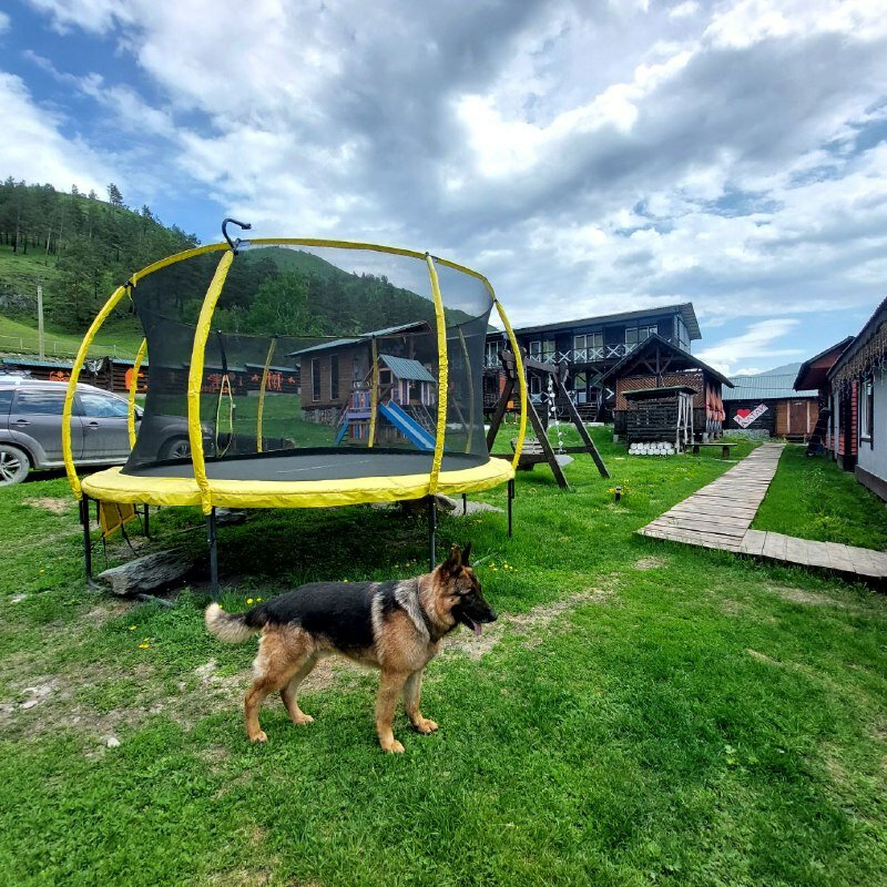 Фото Ак-Талай тур