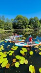 Sup Club Grizzly (Никитинская ул., 42, Воронеж), сапсёрфинг в Воронеже