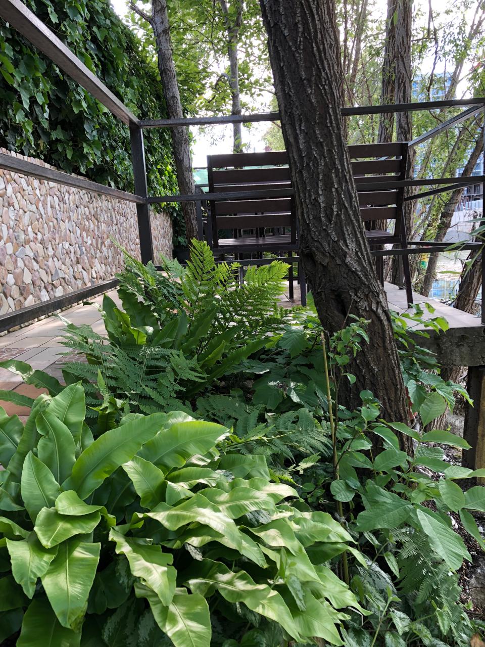 Фото Гостевой дом Шоколад