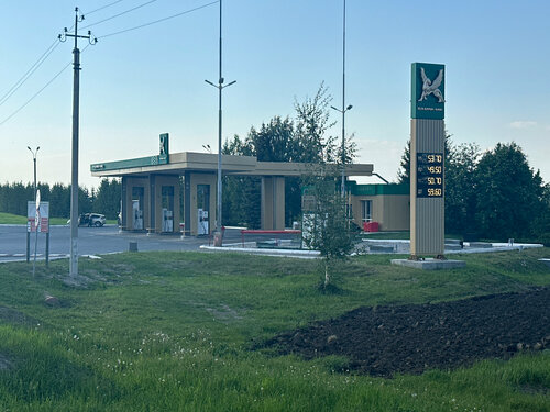 Gas station Taif-NK, Republic of Tatarstan, photo