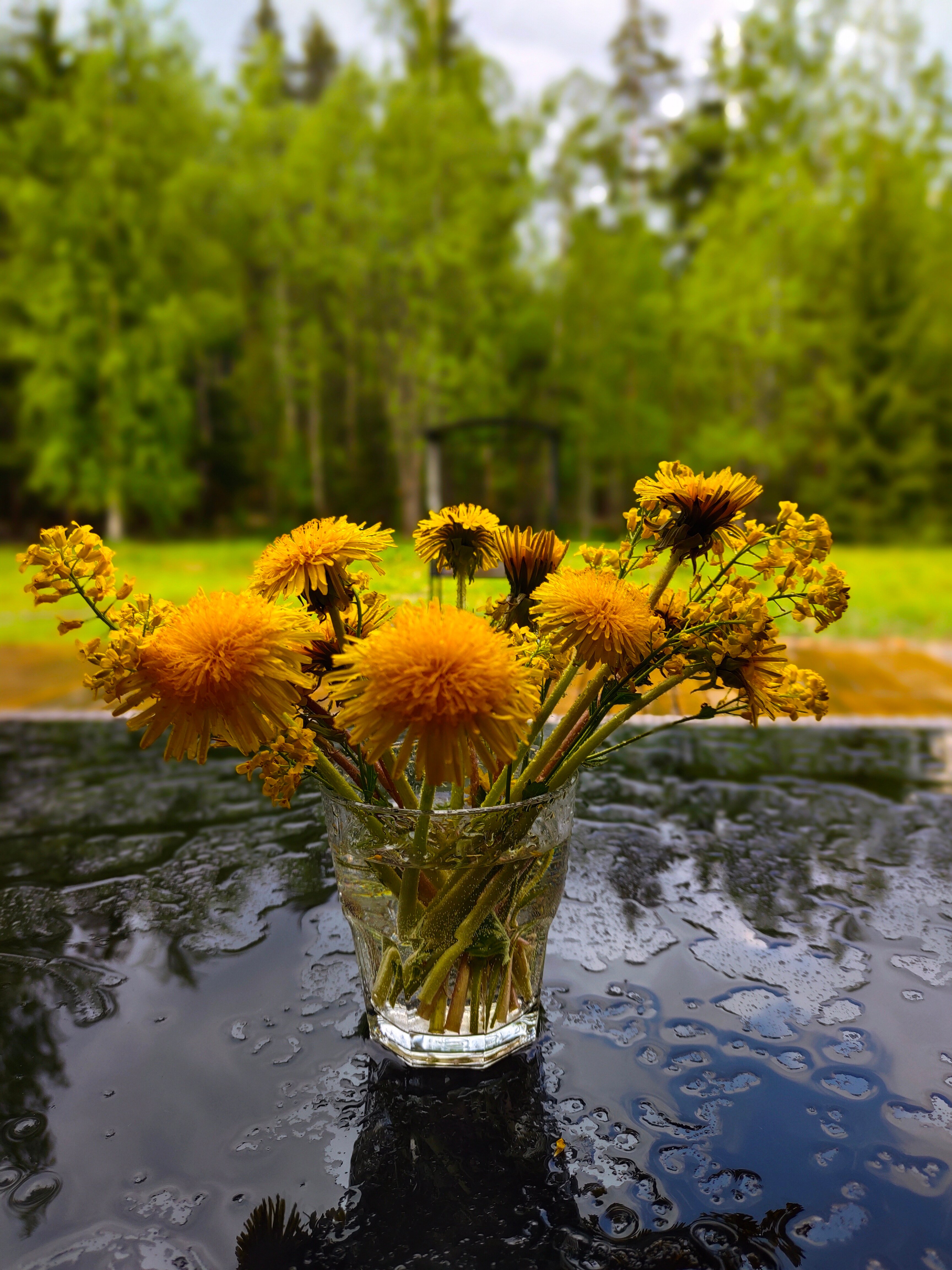 Фото Klever House Лехтуси