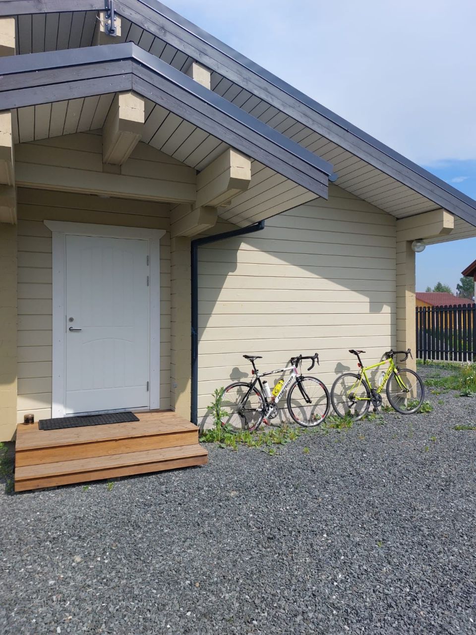 Фото Таволга