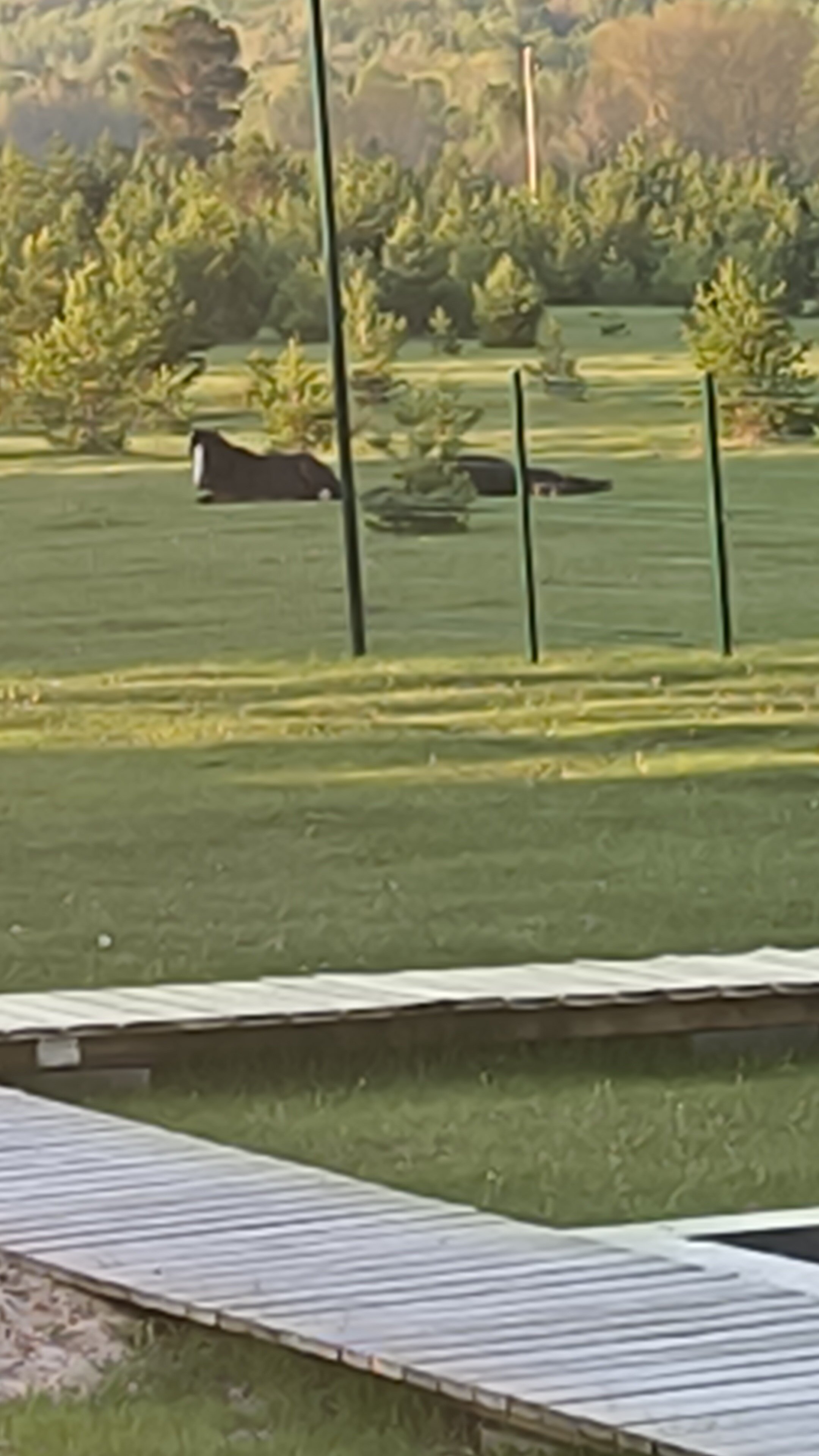 Фото Рыбацкая Артель