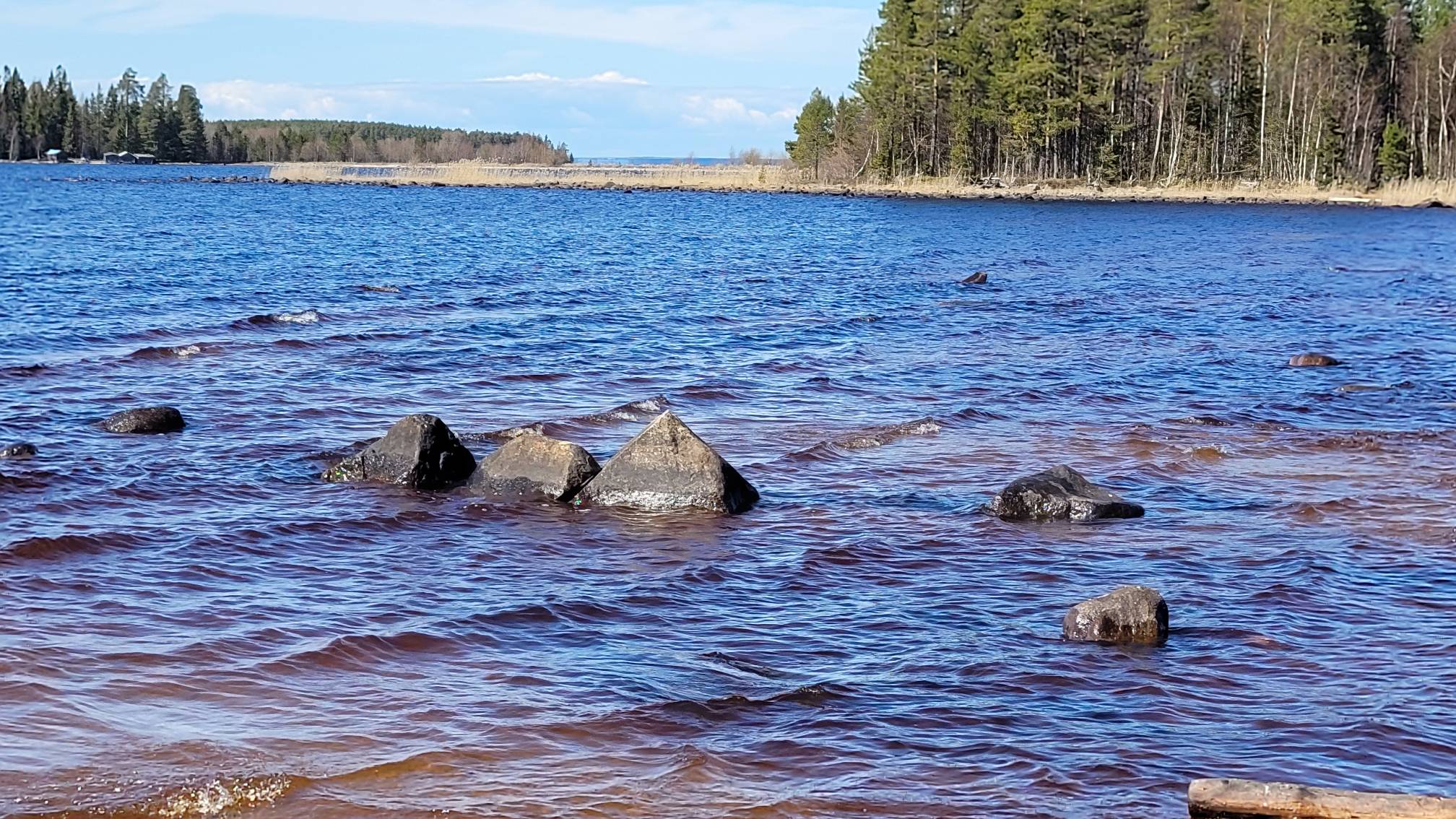 Фото Пяльма